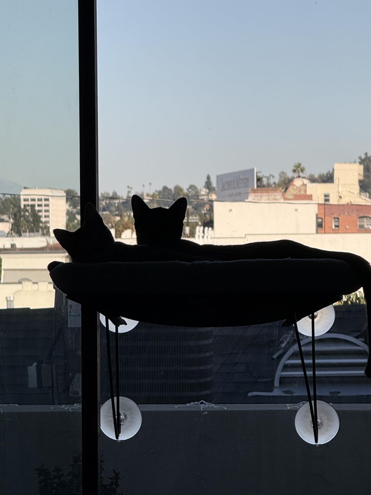 Zakkart Cat Window Perch, 100% Metal Supported from Below (White) customer photo 2