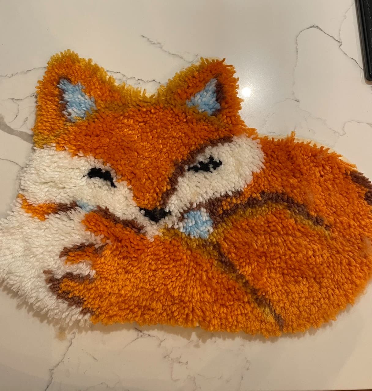 Latch Hook Kits for Adults, DIY Rug Kits Special-Shaped Animal Fox customer photo 1