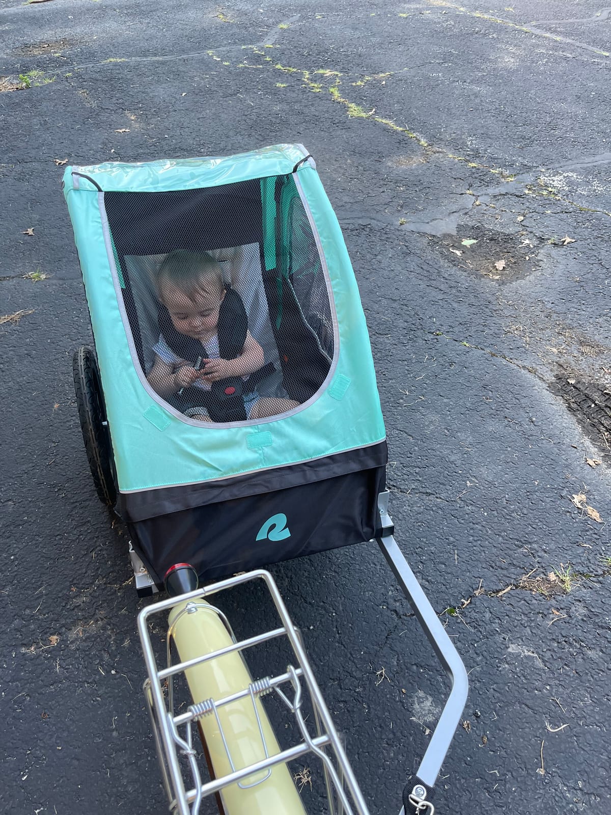 Retrospec Rover Kids Bicycle Trailer Single and Double Passenger Children’s Foldable customer photo 1