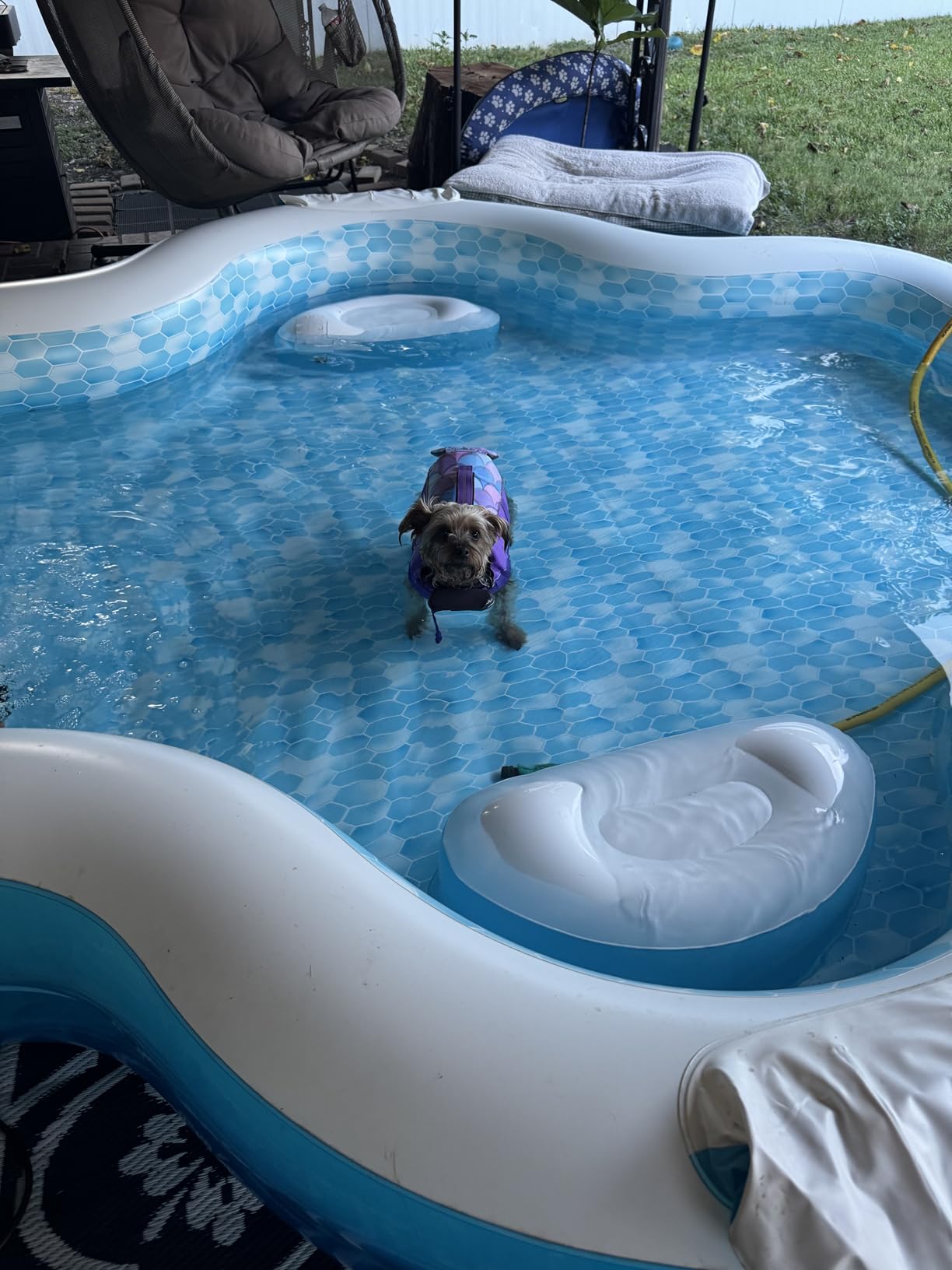 Members Mark Elegant Family Pool 10 Feet Long 2 Inflatable Seats with Backrests. New Version customer photo 1