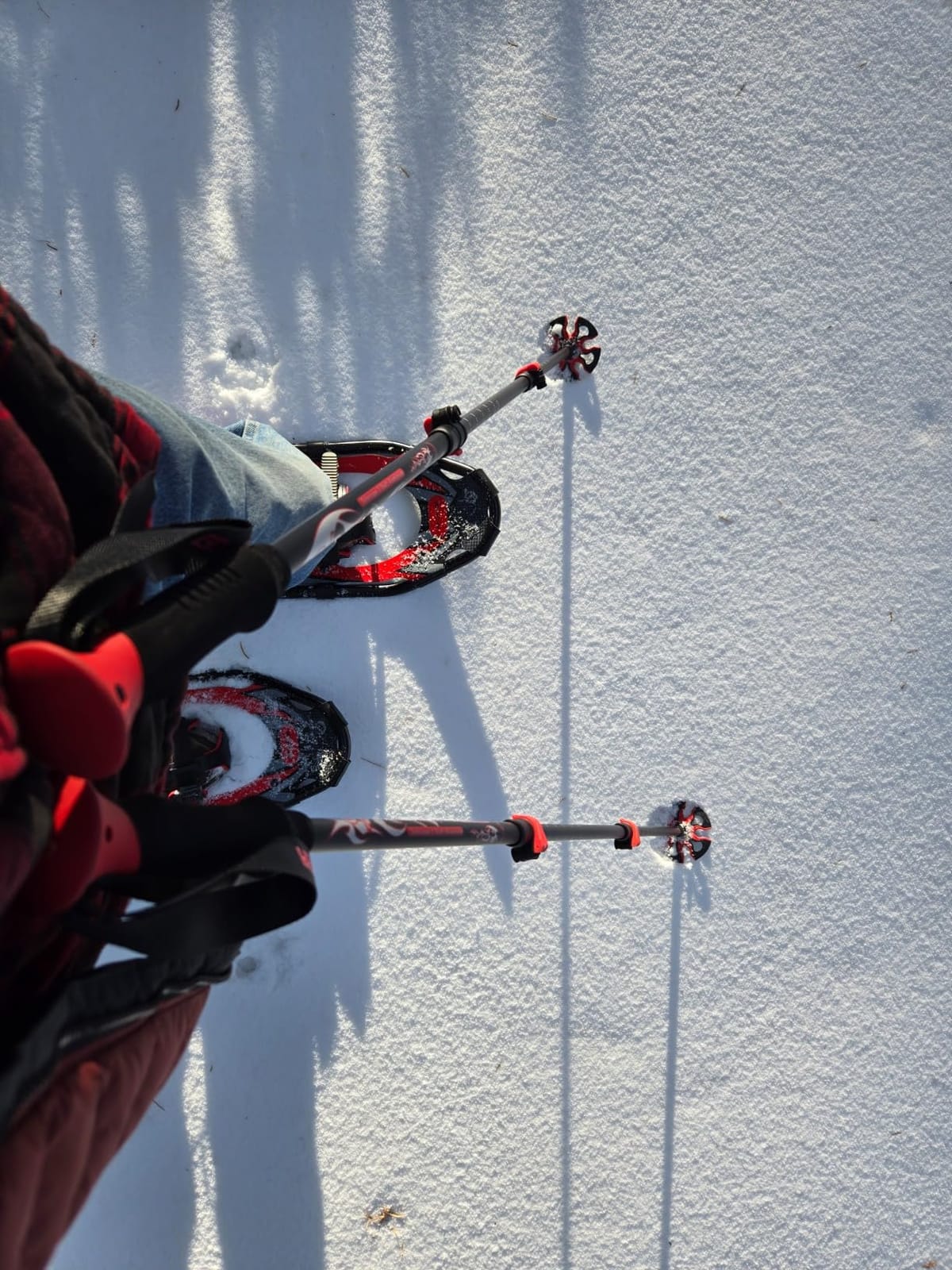 G2 21/25/30/36 Inches Light Weight Snowshoes with Trekking Poles, Tote Bag, Special EVA Padded Ratchet Binding, Heel Lift, Toe Box(6 Colors Available) customer photo 1