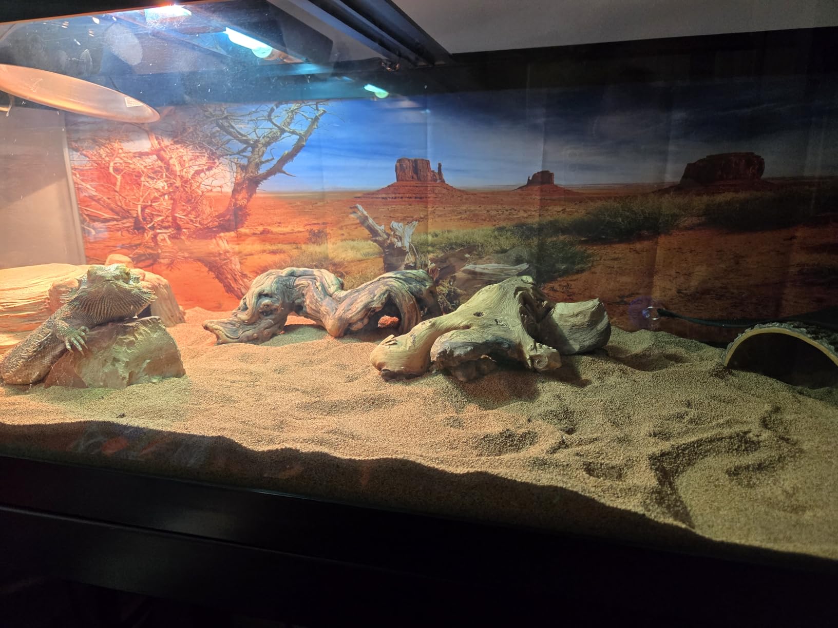 AWERT 36x18 in Terrarium Backdrop Orange Desert Reptile Habitat Background customer photo 2