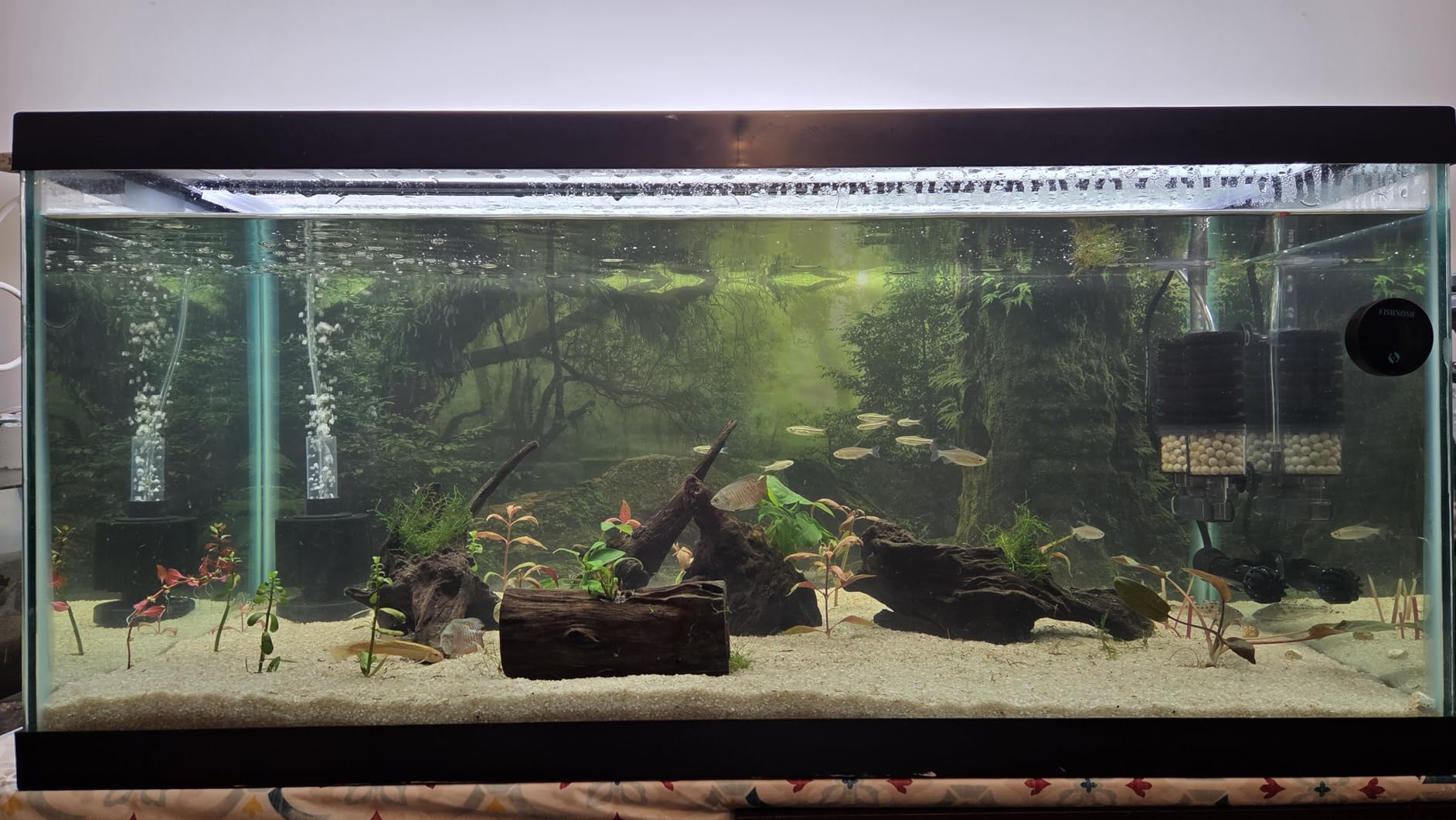 Forest Green Tree Terrarium Backdrop Reptile Habitat Background 36x18 in customer photo 1