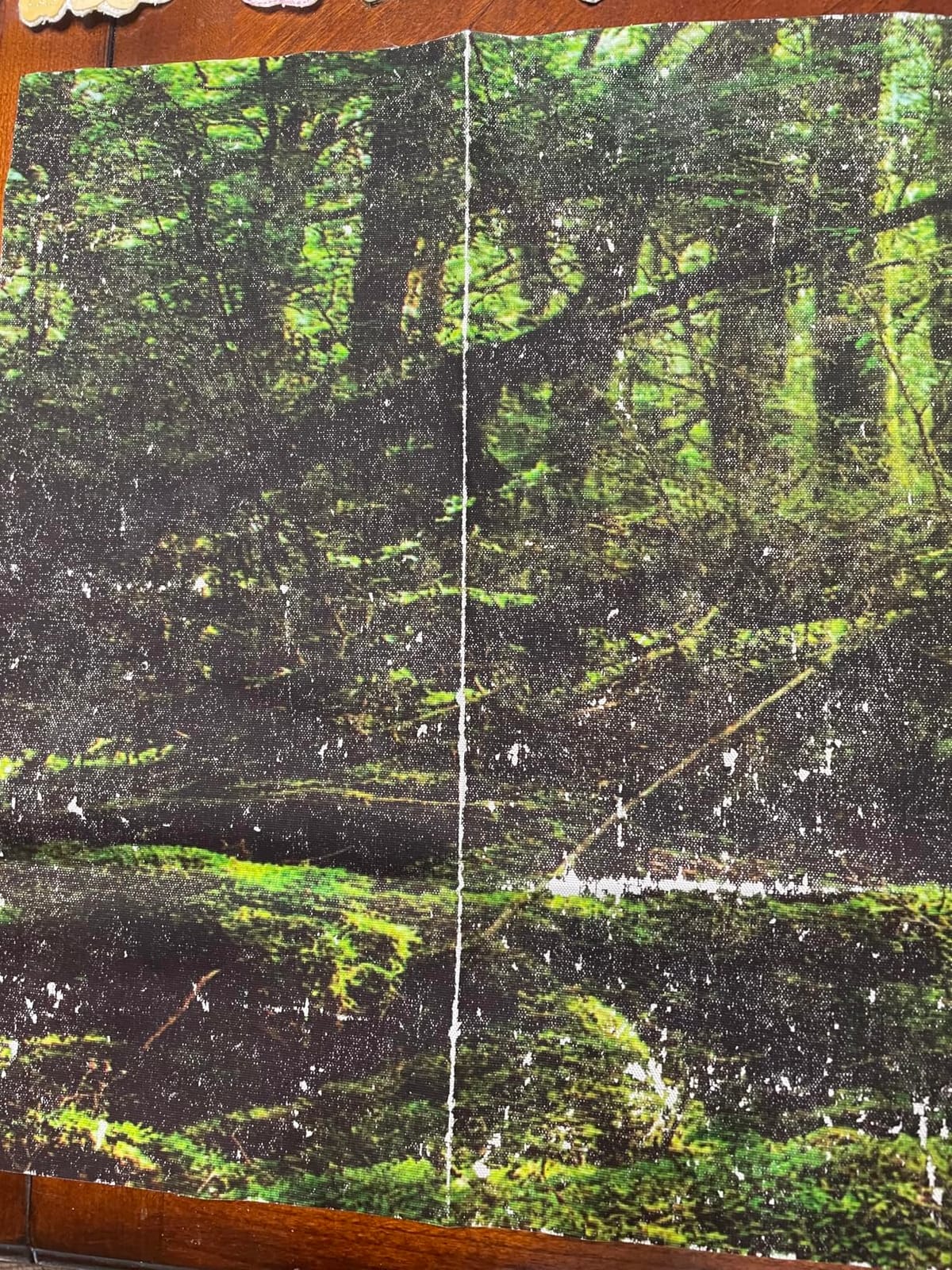 Forest Green Tree Terrarium Backdrop Reptile Habitat Background 36x18 in customer photo 2