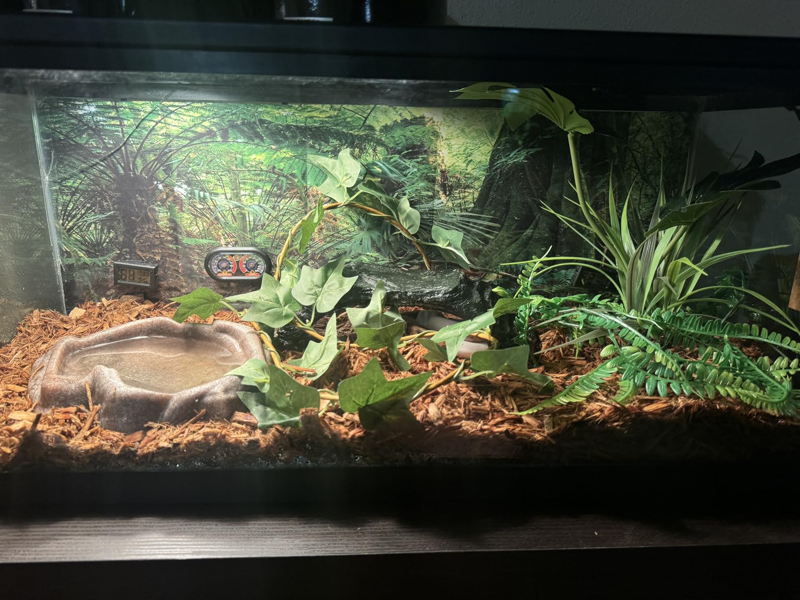 60x24 in Terrarium Backdrop Green Forest Tree Reptile Habitat Background customer photo 2