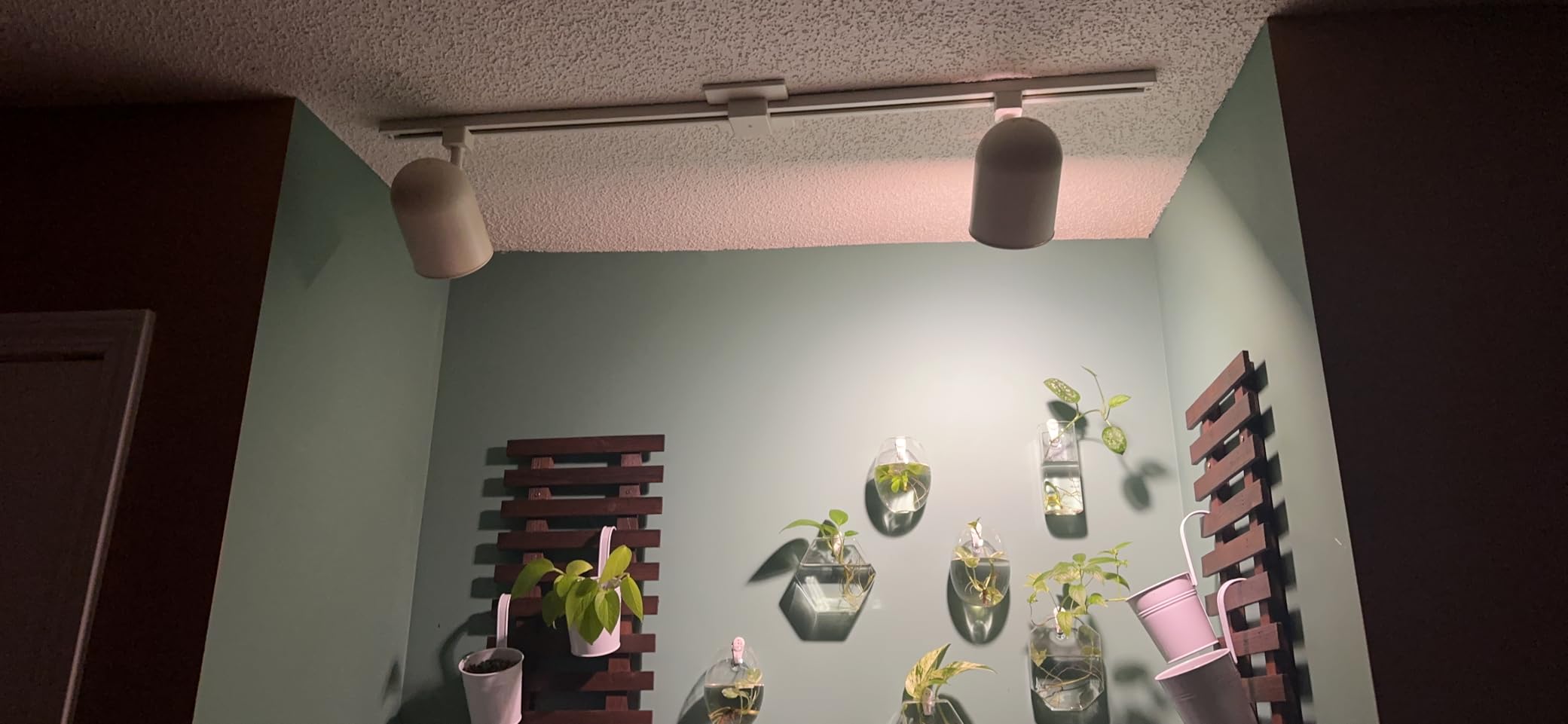 Briignite Grow Light Bulbs, LED Grow Light Bulb A19 Bulb, Full Spectrum customer photo 2