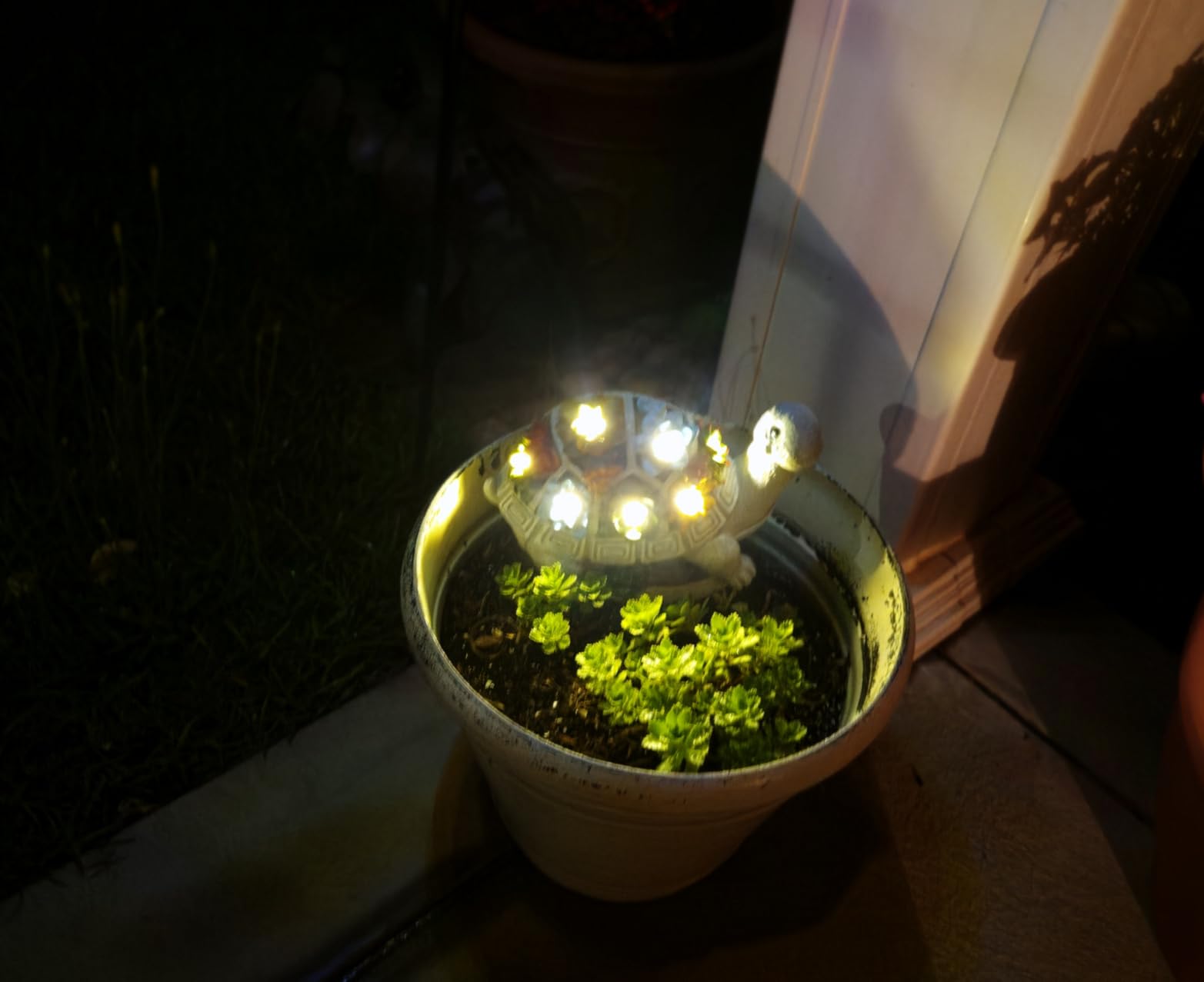 Nacome Solar Turtle Garden Statue - Succulent & 7 LED Lights, Outdoor Decor customer photo 1