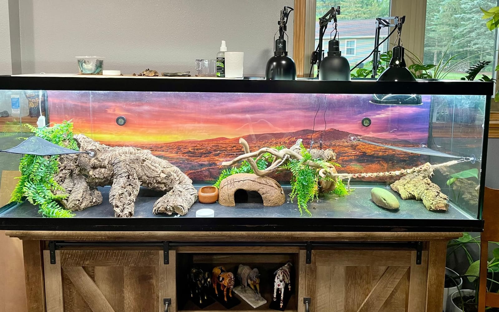 36x18 in Desert Mountain Terrarium Backdrop Oasis Reptile Habitat Backdrop customer photo 1