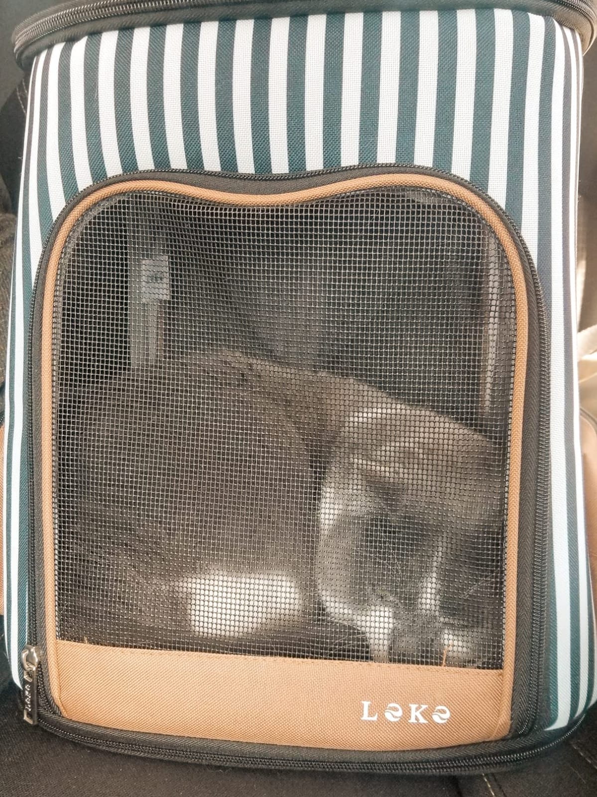 Lekereise Cat Backpack Expandable Pet Carrier Backpack for Small Cats and Dogs, Foldable Dog Carrier Backpack with Inner Safety Leash, Grey customer photo 2