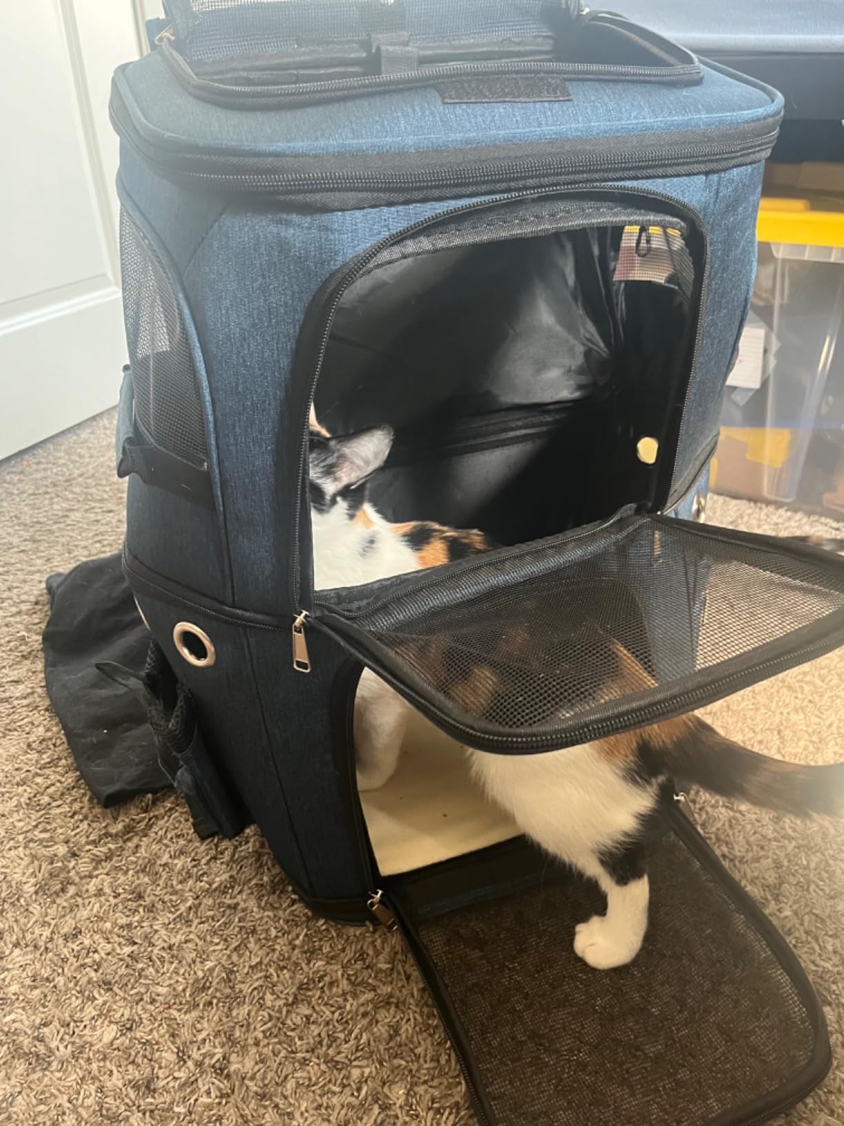 HOVONO Double-Compartment Cat Backpack Carrier for 2 Pets up to 18 lbs customer photo 2