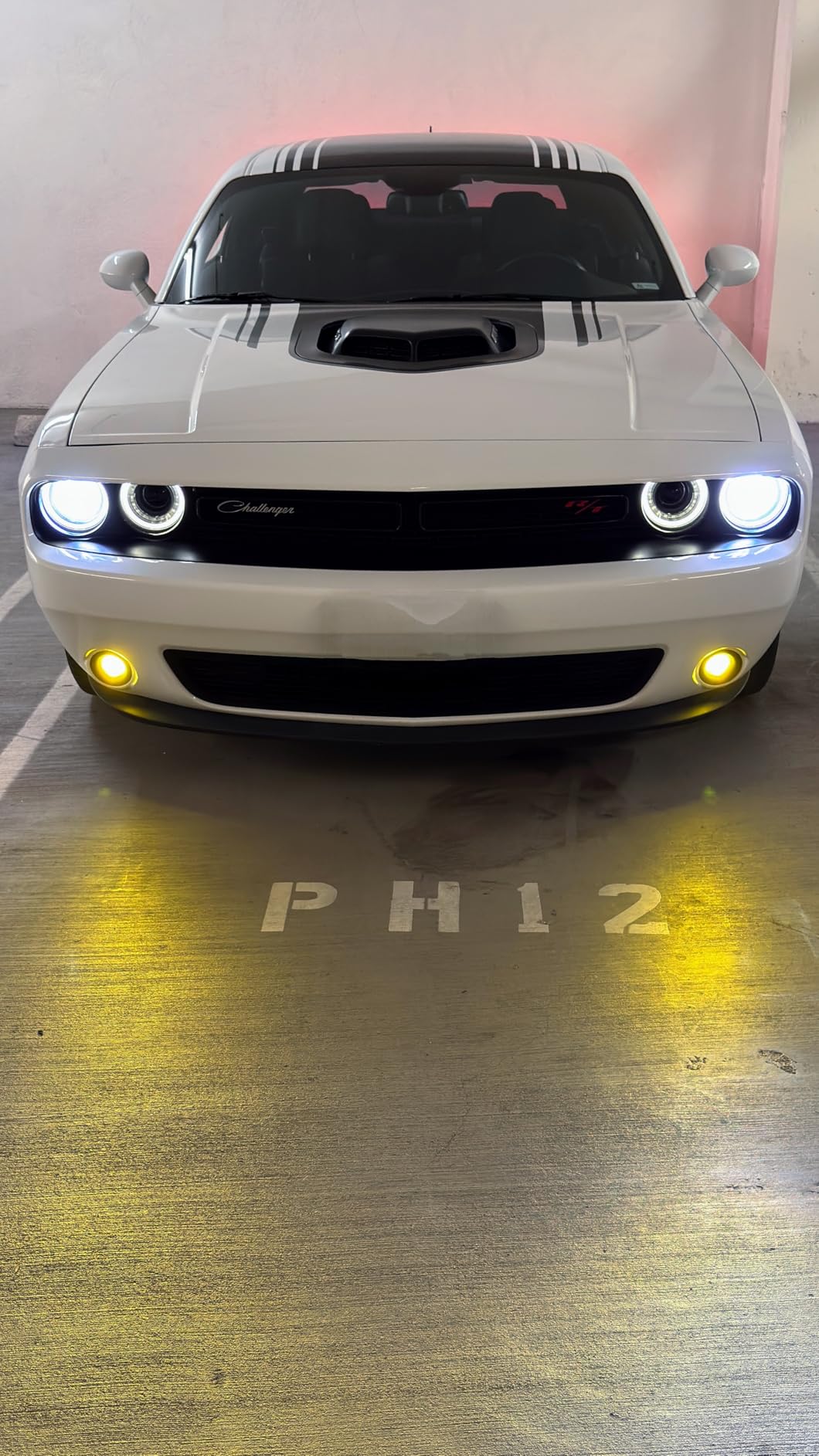 AUXITO 9145 LED Fog Light Bulbs, 6000LM 6500K Cool White Light, 300% Brightness H10 9140 9045 9040 Led Fog Lights, CSP LED Chips, DRL Replacement for Cars, Pack of 2 customer photo 2