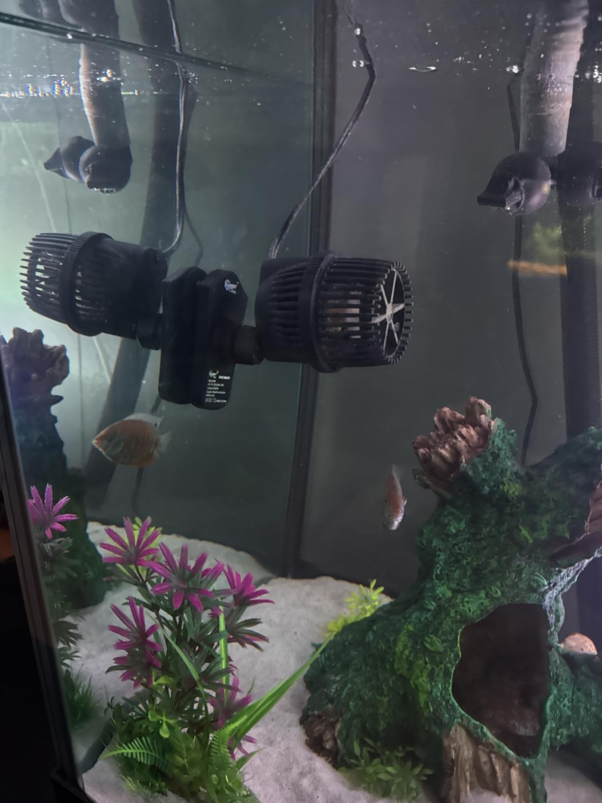 hygger 2100 GPH Aquarium Wave Maker Pump with Strong Magnetic Suction Base, Ultra-quiet 360 Degree Rotating Submersible Power Head, for 75-130 Gal Freshwater Saltwater Tank customer photo 1