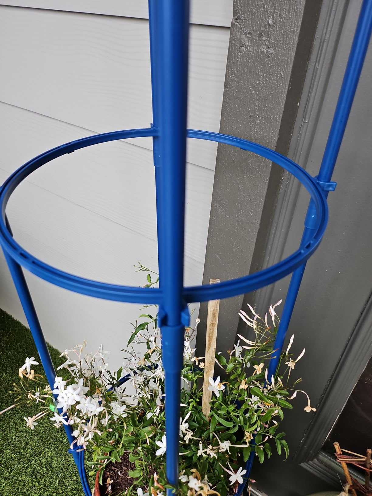 6FT Obelisk Trellis for Climbing Plants, Kalolary Garden Tower Trellises customer photo 1