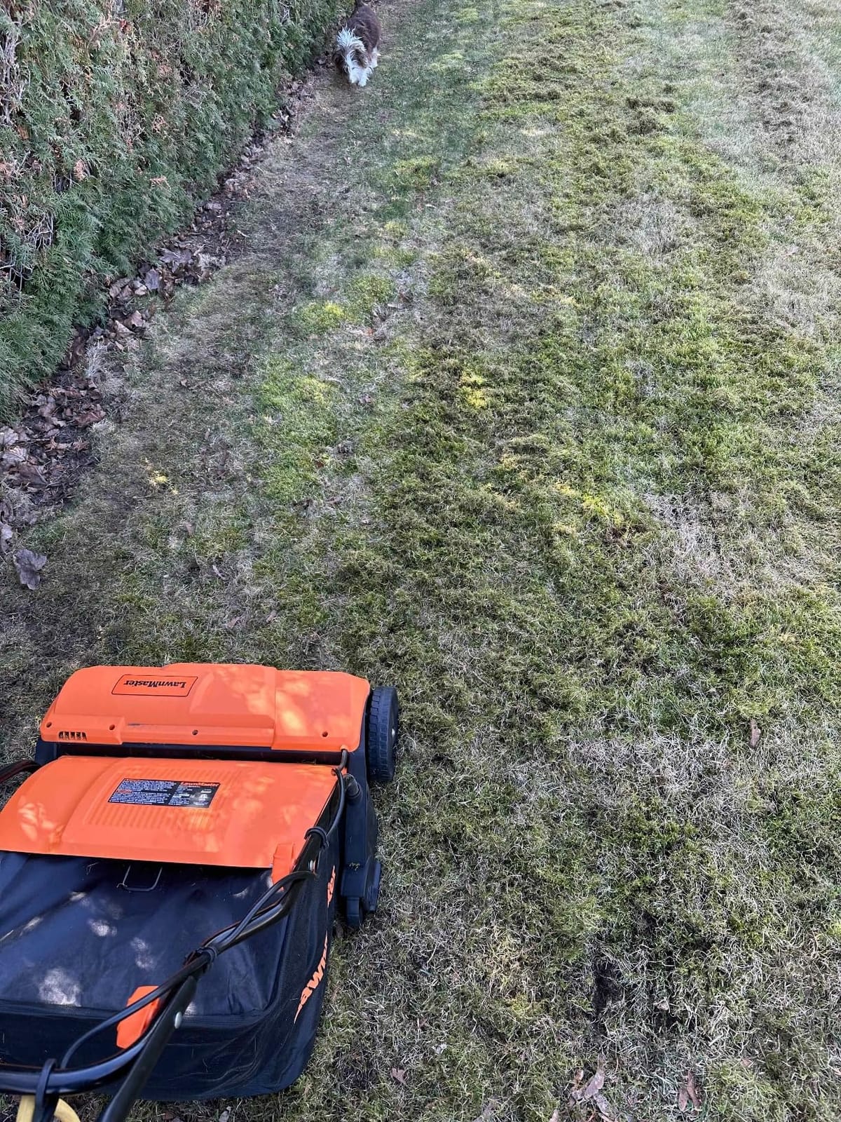 LawnMaster GV1212B Scarifier and Dethatcher 13-Inch 12AMP customer photo 2