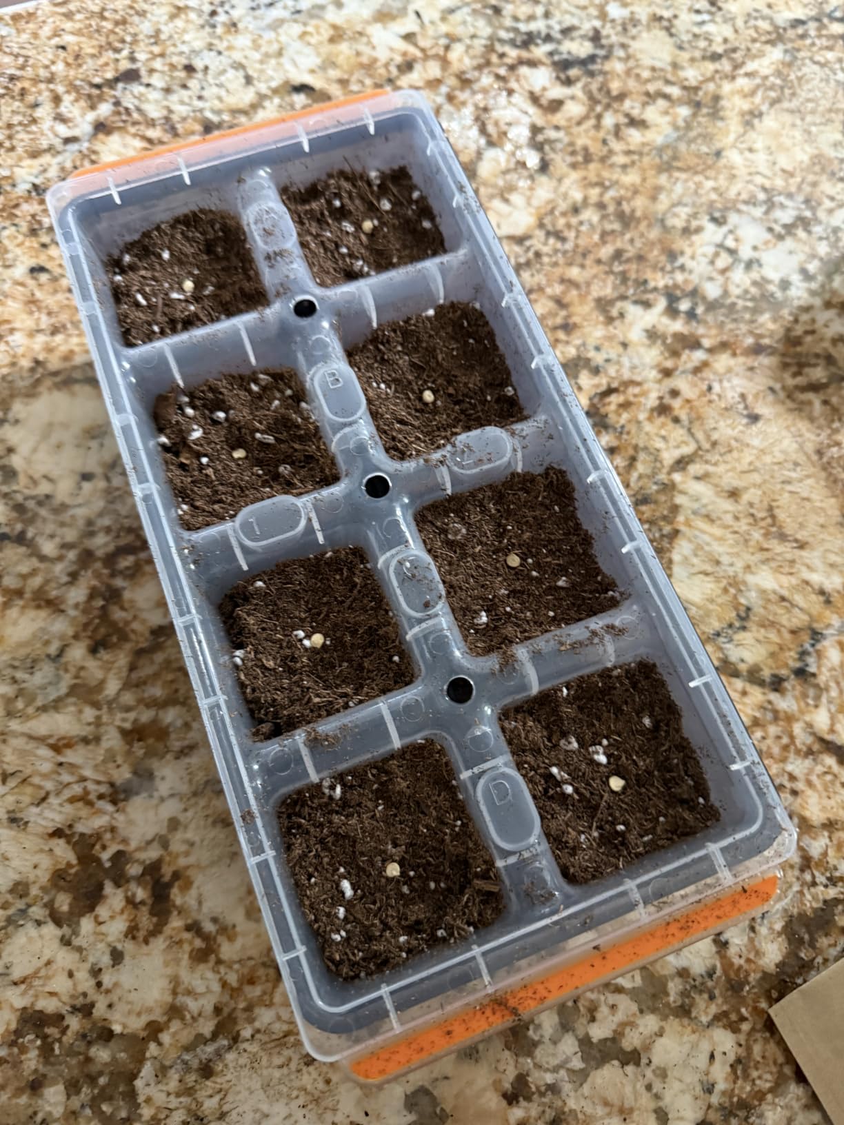 Burpee SuperSeed 36-Cell Reusable Seed Starting Tray for Indoor Seedlings customer photo 2