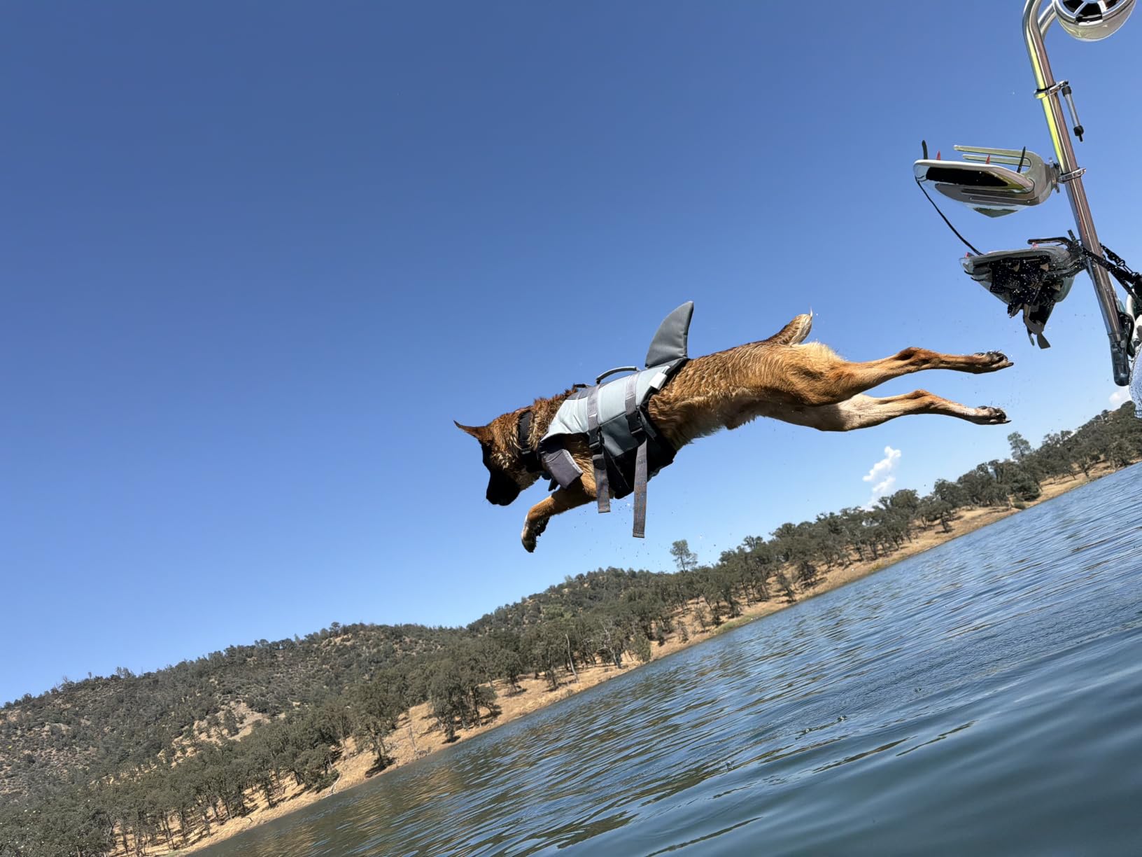 EMUST Dog Life Vests, Dogs Floats for Swimming, Boat, Pool, Ripstop Dog Life Jacket with High Buoyancy and Lift Handle for Small and Medium Breeds, (M,Pool Blue) customer photo 1