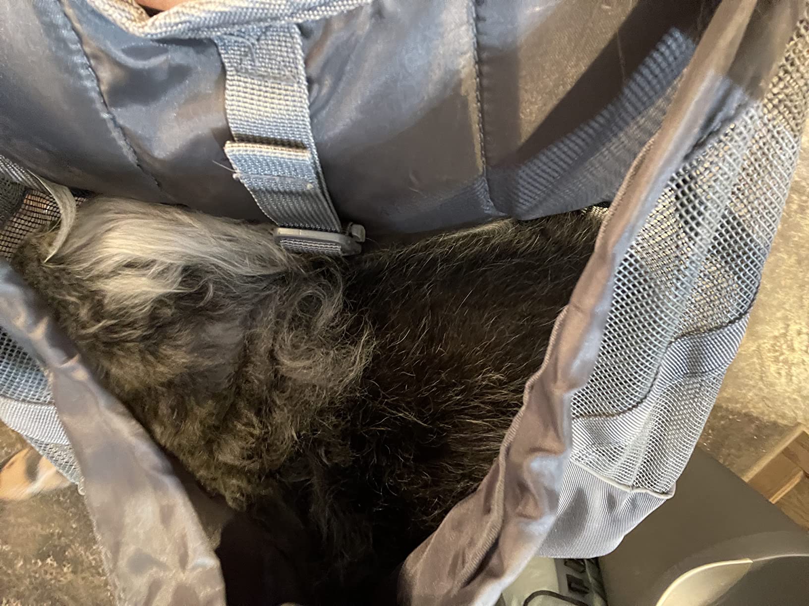 Outward Hound PupPak Dog Front Carrier, Grey, Medium, 12.5