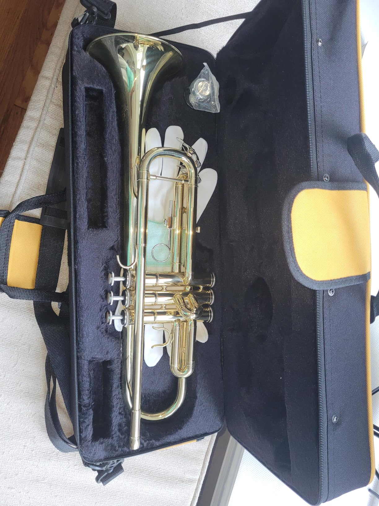 Trumpet Instrument,Band & Orchestra Musical Instruments for Beginners,With trumpets case,Mouthpiece,Cloth and Gloves (Golden) customer photo 2