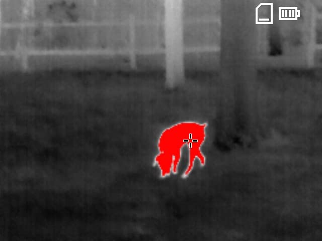 Teslong TTS260 Thermal Monocular 256 x 192, Super Resolution 512 x 384 customer photo 2