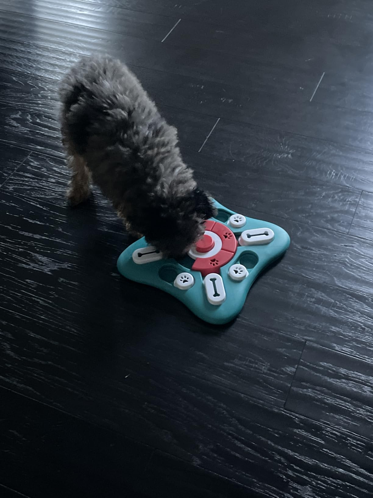 PETSTA Dog Puzzle Toys, Treat Dispensing Dog Enrichment Toys for IQ Training and Brain Stimulation, Interactive Mentally Stimulating Toys as Gifts for Puppies, Cats, Dogs customer photo 2