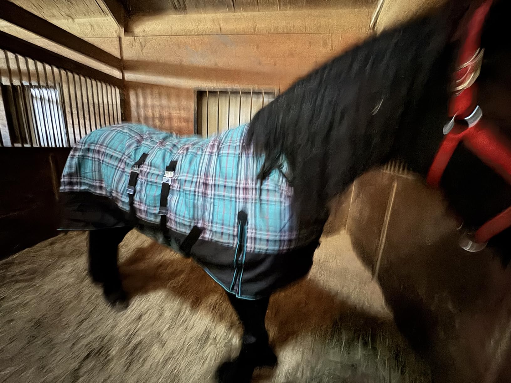 Challenger 1200D Horse Turnout Waterproof Heavy Weight Winter Blanket 5B105 customer photo 1