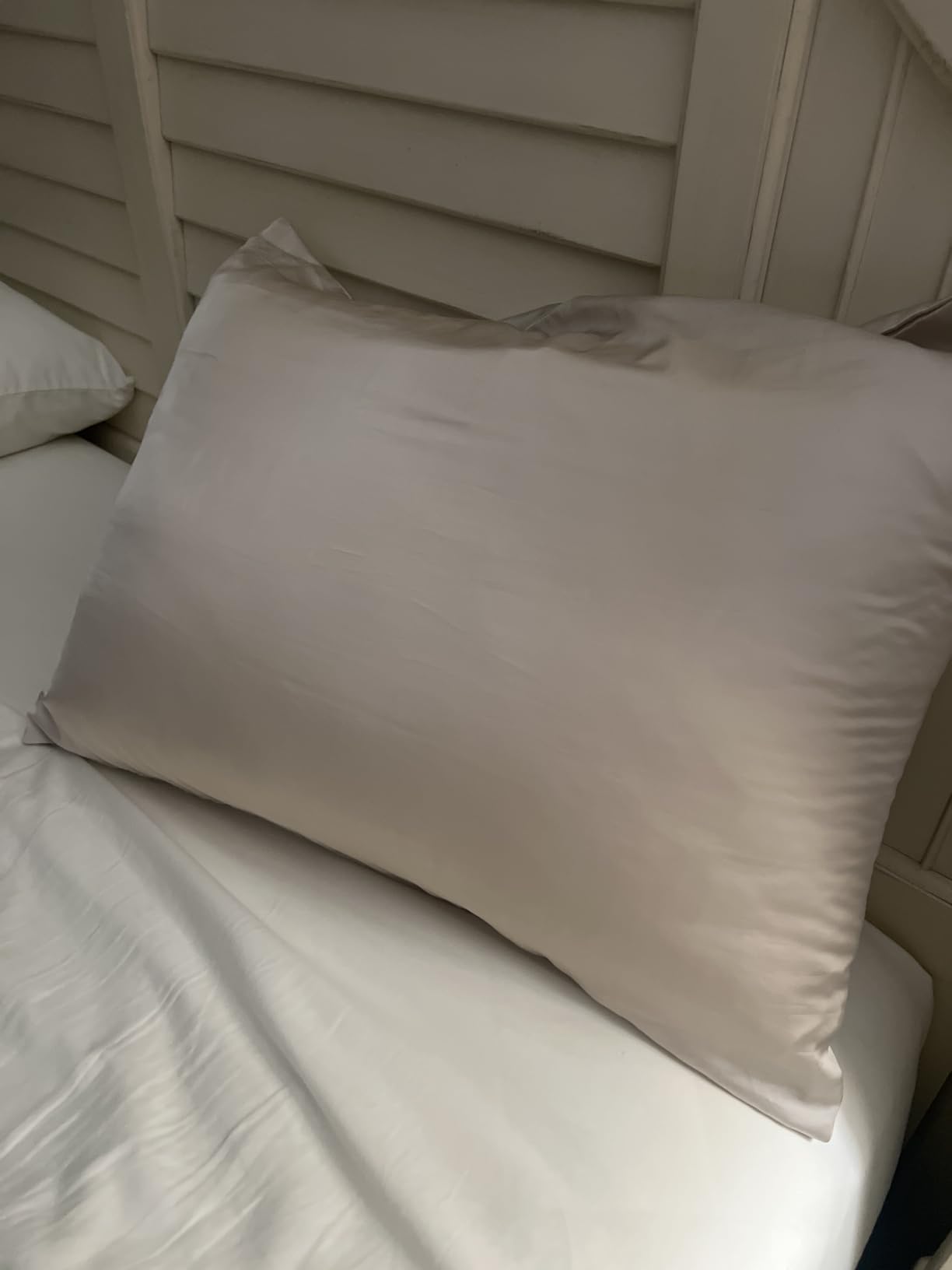 Silk Pillow Cases 2 Pack,Soft Breathable and Sliky Standard Size Pillow Cases Set of 2,Natural Mulberry Silk Pillowcase Set of 2 for Hair and Skin with Hidden Zipper (White,20