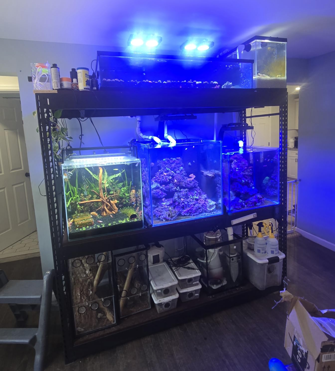 MagTool DC Protein Skimmer with Controllable Pinwheel Pump (N130 Plus) customer photo 1