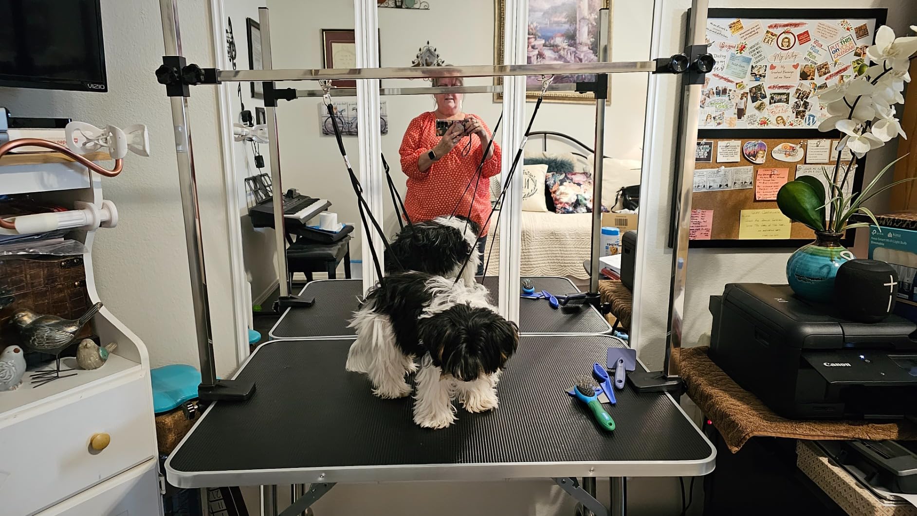 Lyromix 42'' Foldable Dog Grooming Table with Arms/Nooses/Mesh Tray, Black customer photo 1