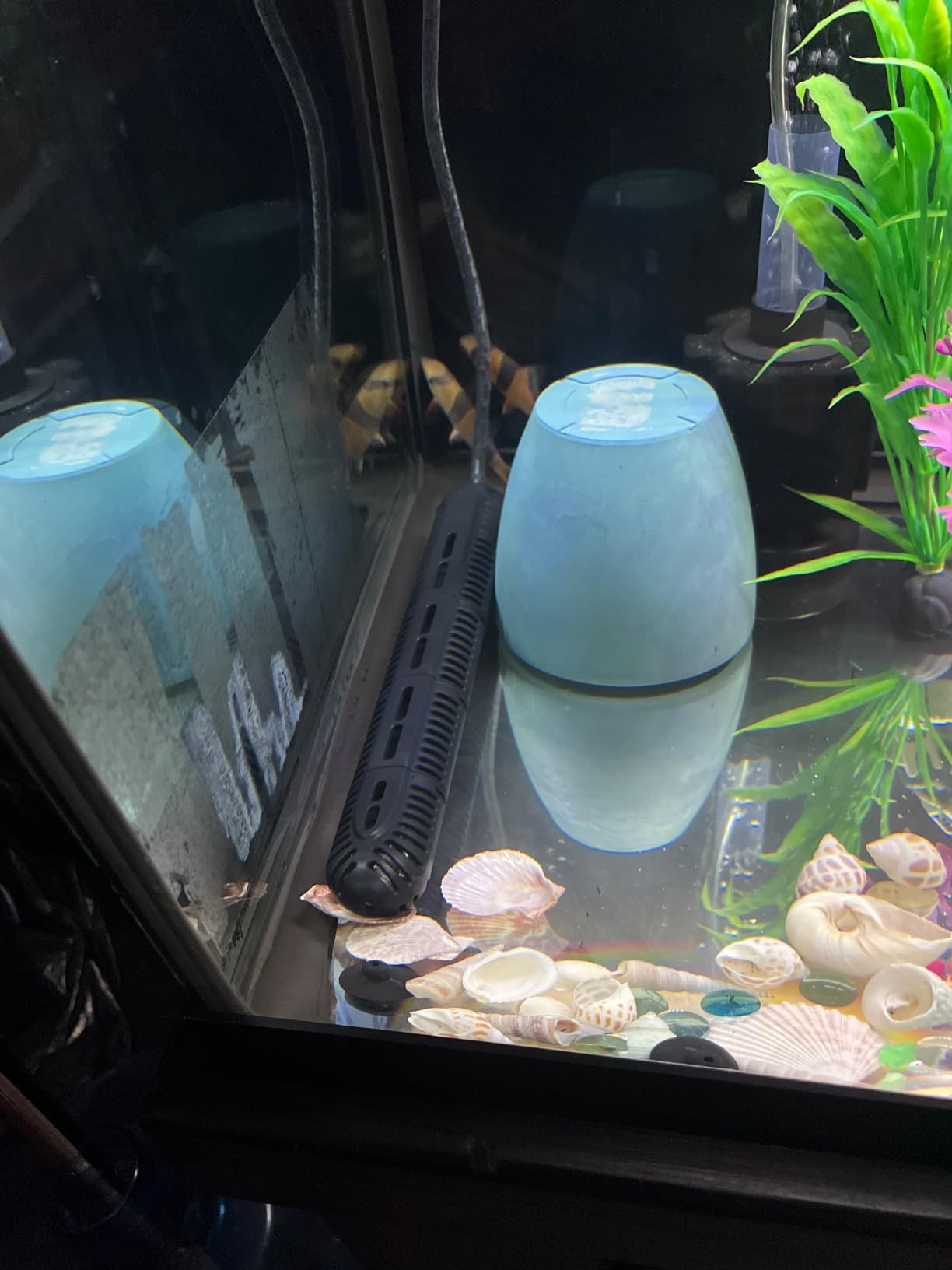 HiTauing Aquarium Heater, 300W Fish Tank Heater with LED Digital Display & 5 Safety Protection, Submersible Aquarium Heater with 2 Suction Cup and 8.2Ft Cord for 40-75 Gallon Fish Tank. customer photo 2