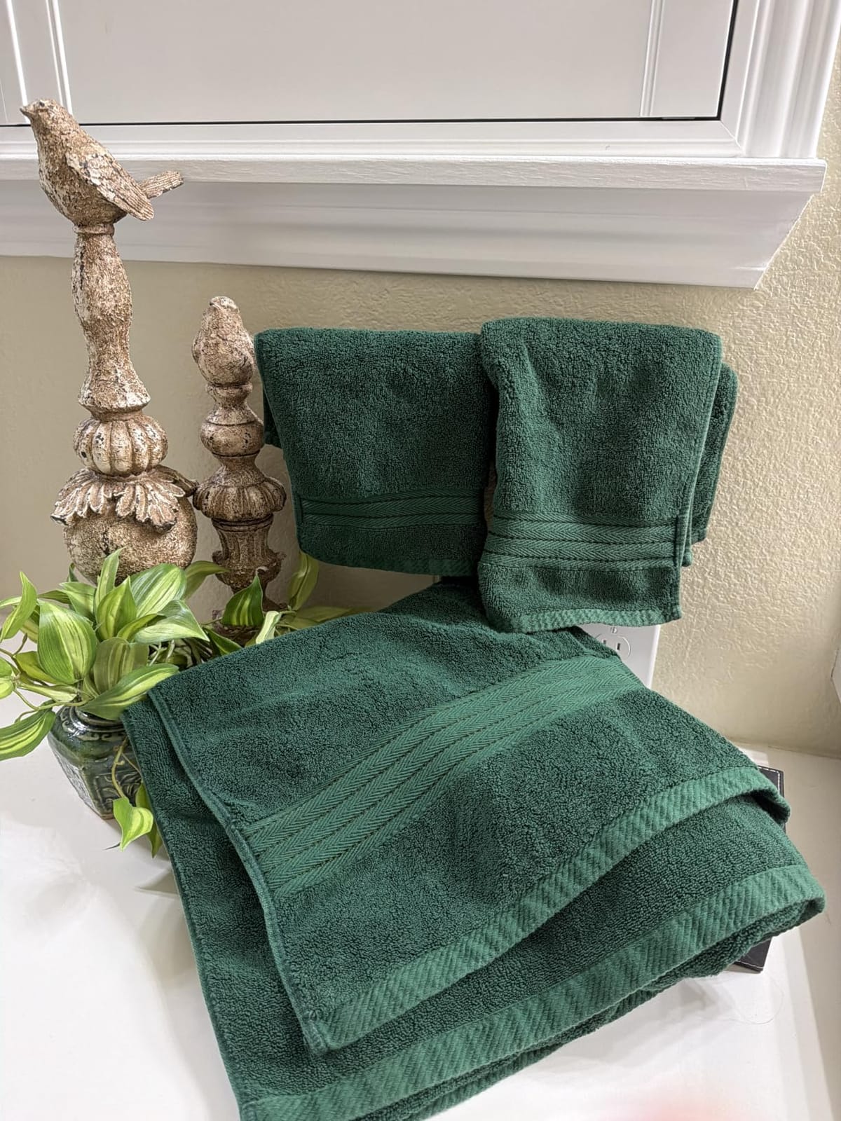 COZYART Luxury Bath Towel Set 6 Pcs, Sage Green 100% Turkish Cotton 650 GSM customer photo 1