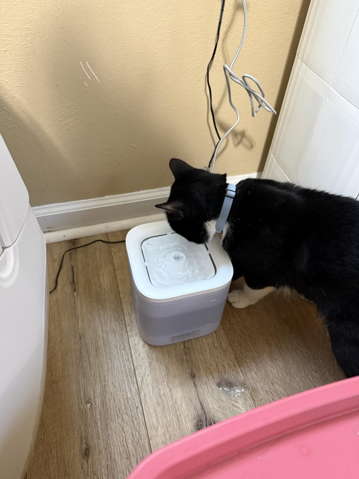 PETKIT Eversweet Solo SE Cat Water Fountain 65oz/1.85L Wireless Pump customer photo 2
