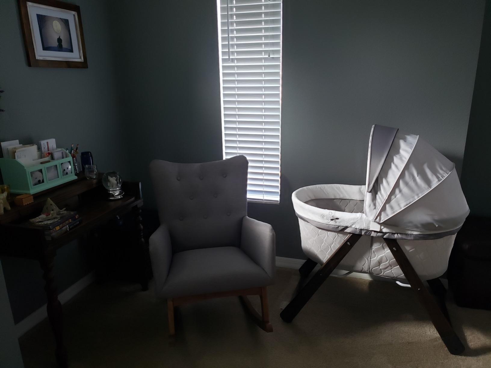 Ingenuity Snooze & Stow Rocking Portable Folding Bassinet - Sheppy - Ages 0+ Months customer photo 1