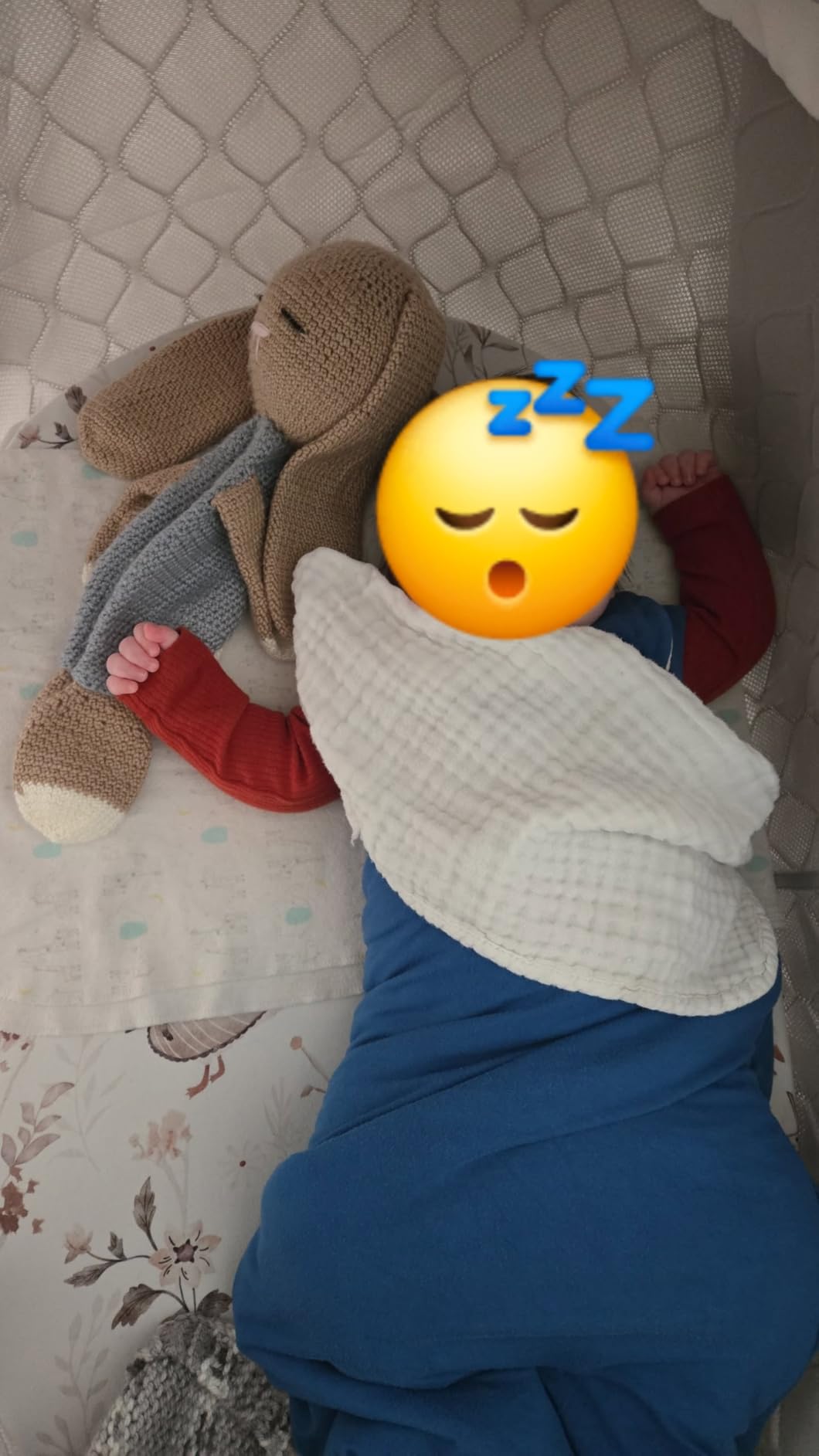 Ingenuity Snooze & Stow Rocking Portable Folding Bassinet - Sheppy - Ages 0+ Months customer photo 2
