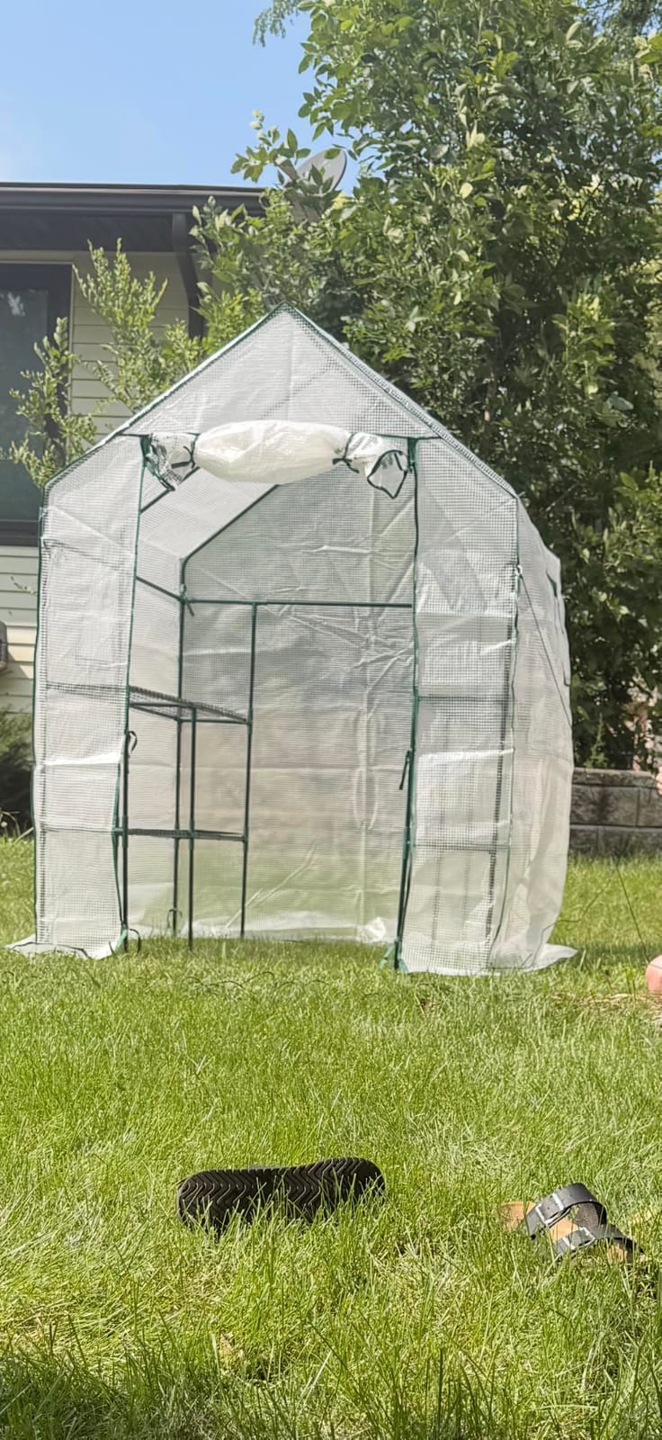 56x55x78 Walk-in Greenhouse for Outdoors, 3-Tier Plant House with 8 Shelves customer photo 2