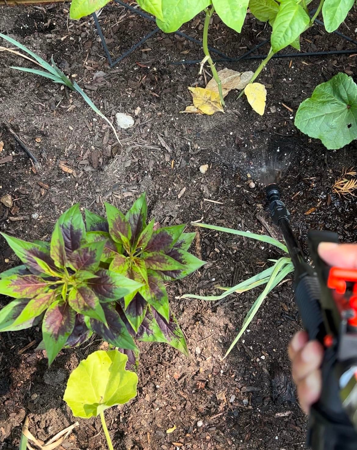 PetraTools HD2000-S 2 Gallon Battery Powered Garden Sprayer, 2 Hour Runtime customer photo 2