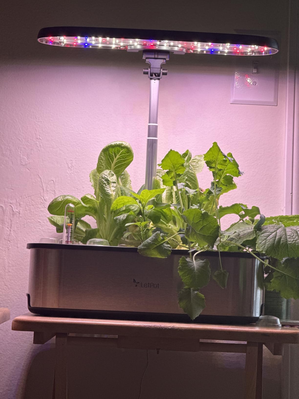 LETPOT LPH-SE Hydroponics Growing System, 12 Pods Smart Herb Garden Kit Indoor, Indoor Garden, APP & WiFi Controlled, with 24W Growing LED, 5.5L Water Tank, Pump System, Automatic Timer customer photo 2