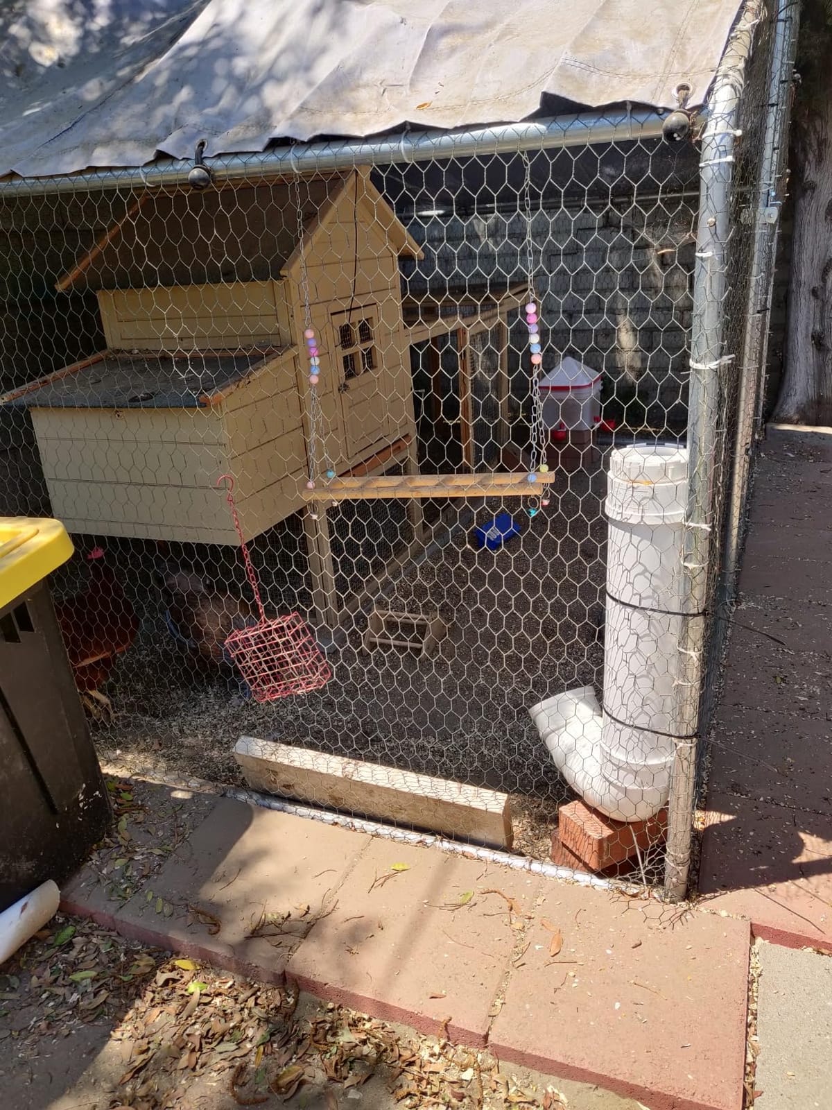 MEWTOGO Automatic Chicken Feeder No Waste customer photo 1