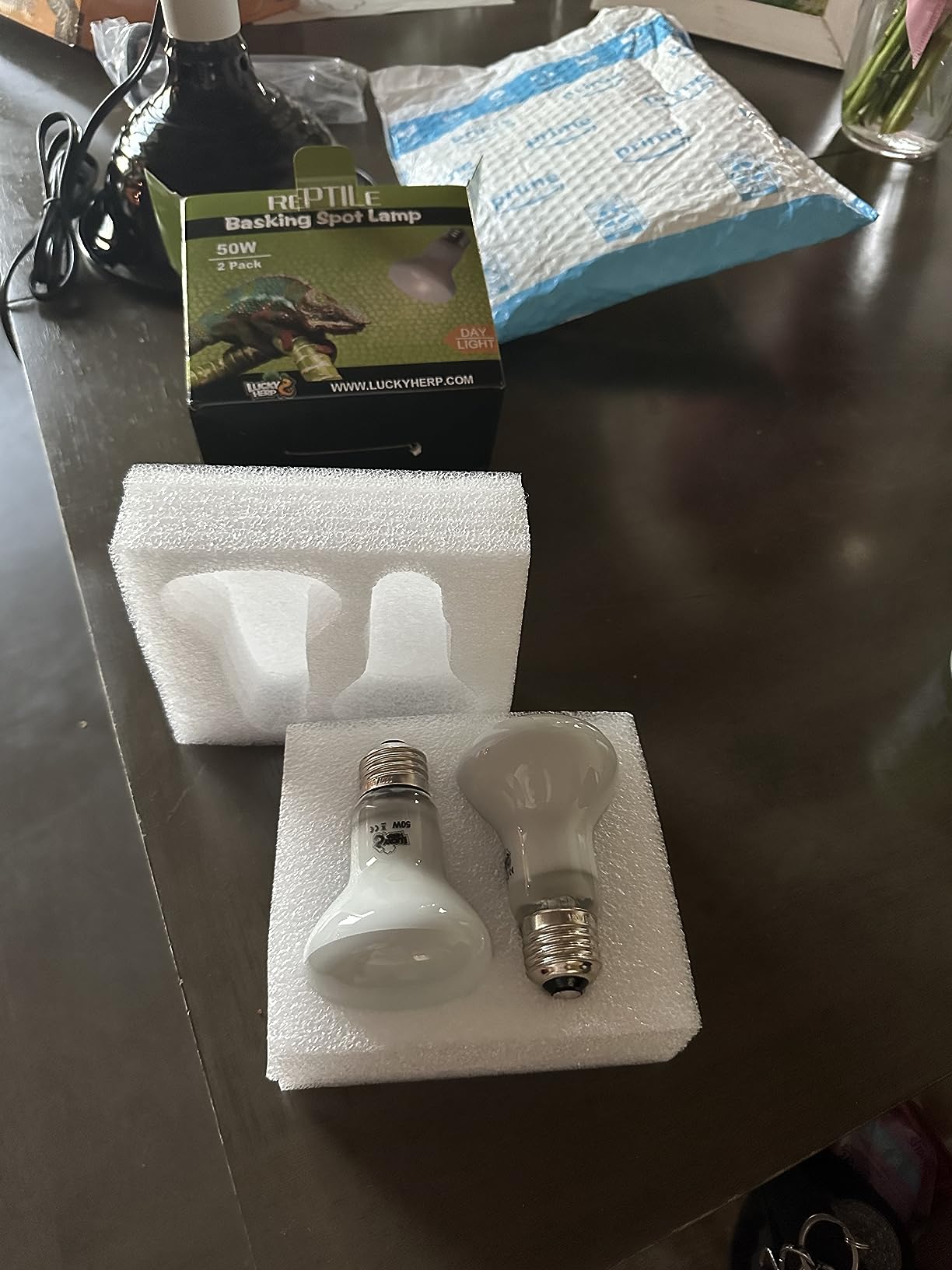 LUCKY HERP Reptile Heat Lamp Bulbs 100W, UVA Daylight Basking Bulbs 2 Pack customer photo 1