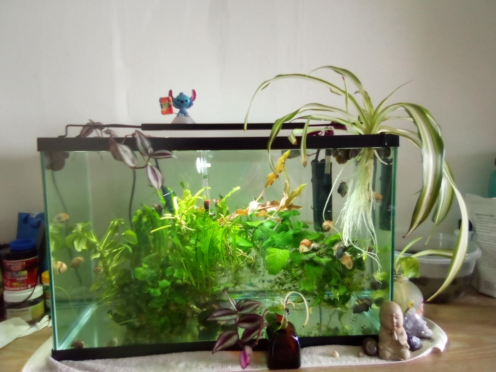 NICREW C10 24/7 LED Aquarium Light for Plants, 18-24 Inches, Full Spectrum Fish Tank Light with Timer, Brightness Adjustable customer photo 1