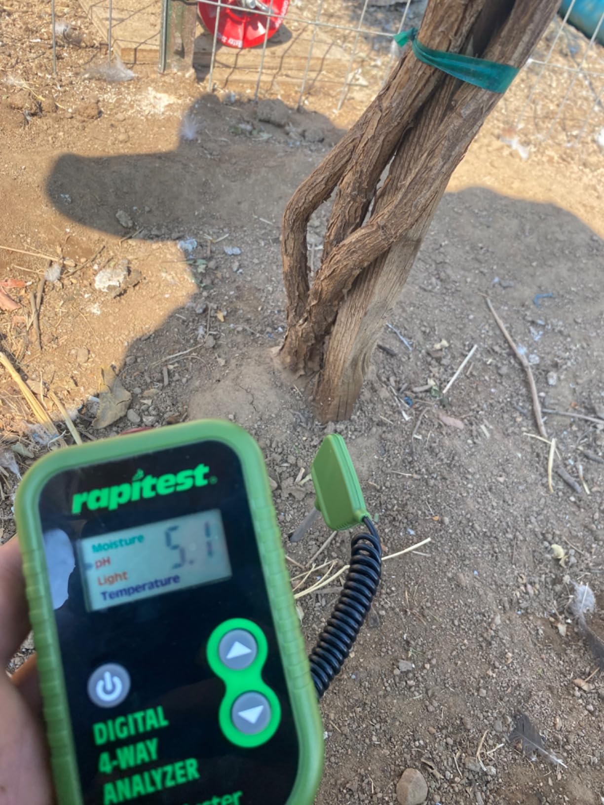 Luster Leaf Rapitest 4-Way Digital Soil Analyzer for pH, Moisture, Temperature, and Light – Designed and Engineered in the USA customer photo 2