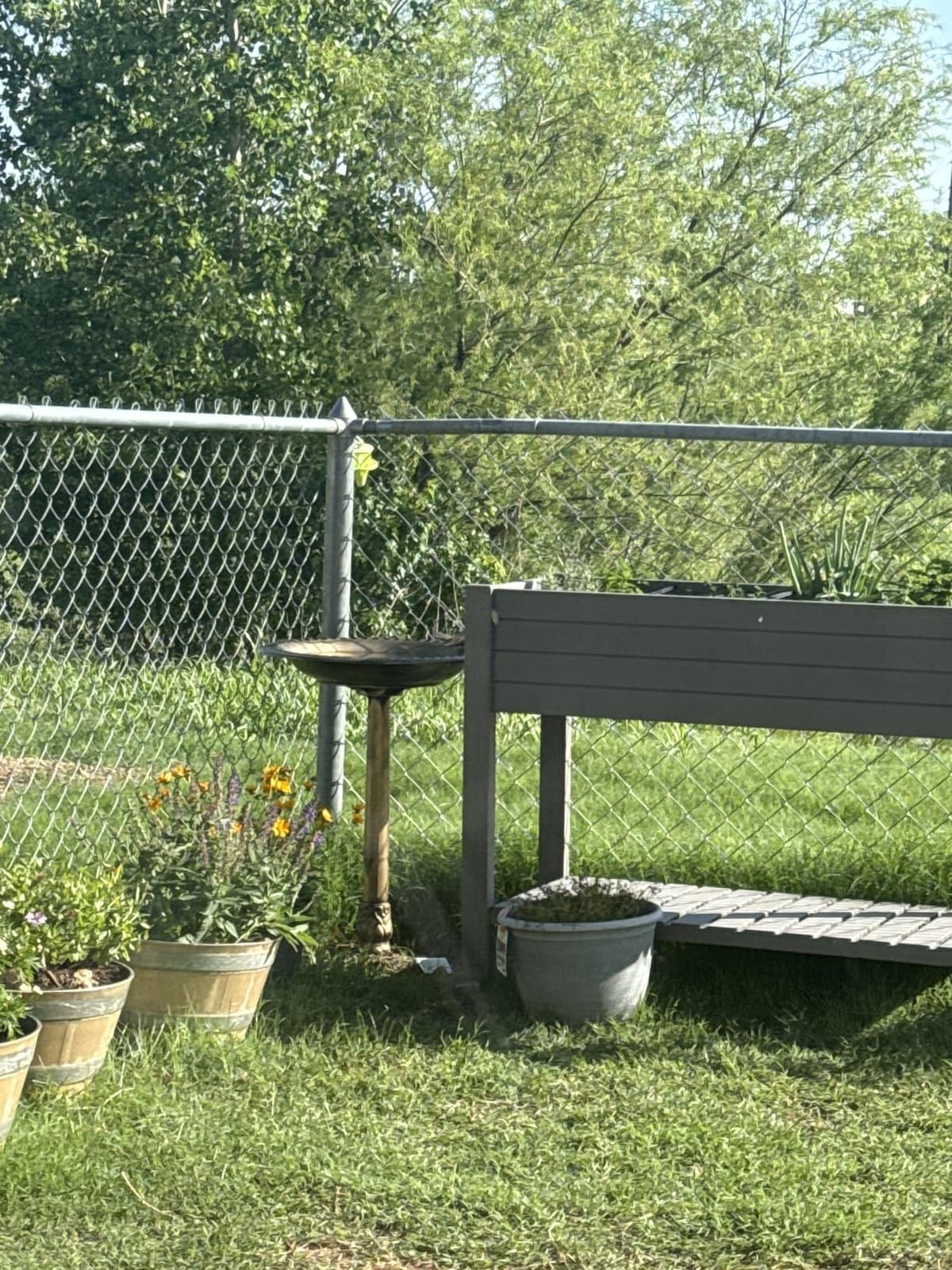 BACKYARD EXPRESSIONS PATIO · HOME · GARDEN 912449-WB Outdoor Garden Bird Bath- Bronze- Weather Resistant Polyresin-30 Inch-Backyard Expressions customer photo 2