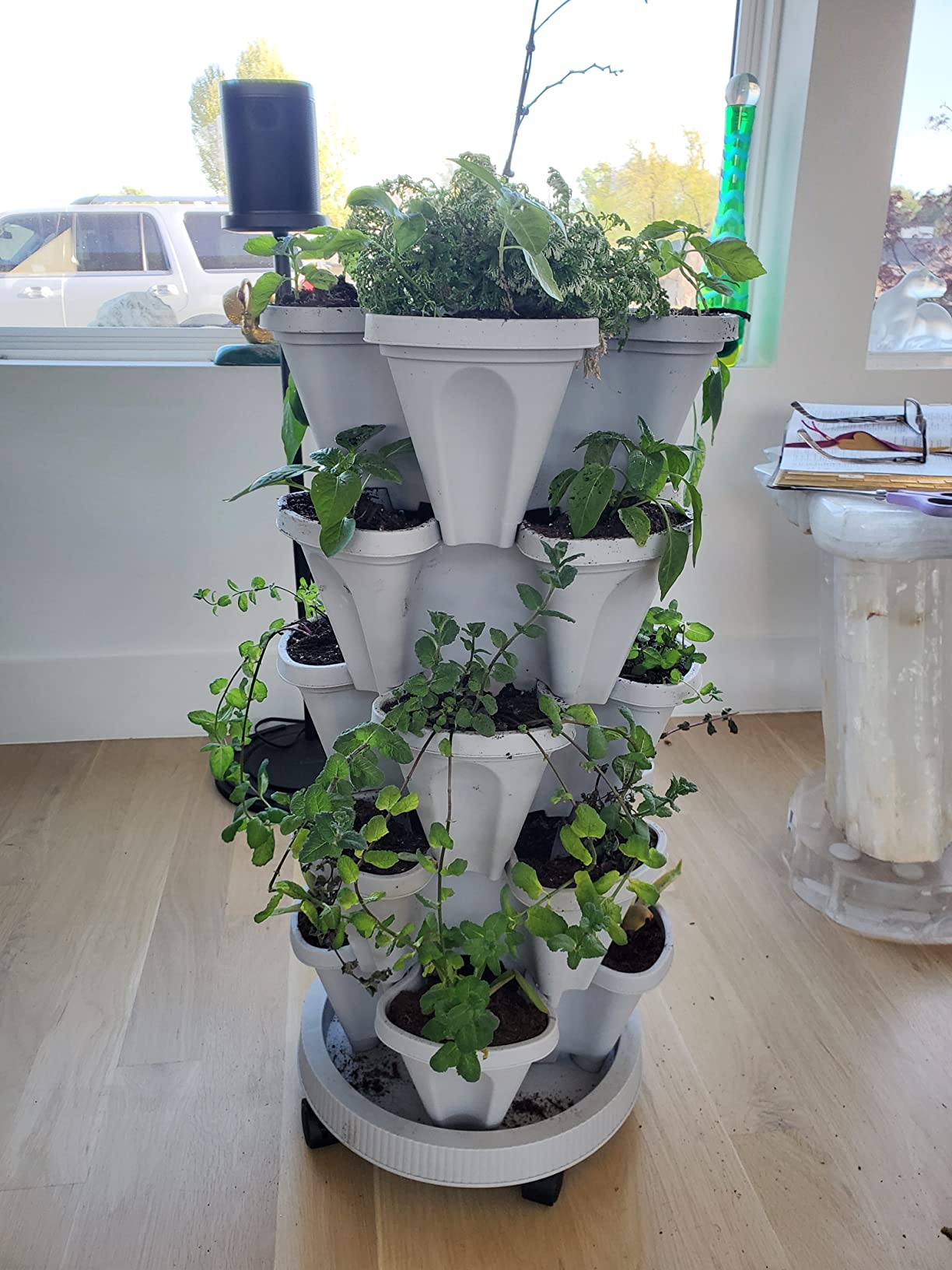 DUNCHATY Stackable Planter, Vertical Garden Planter with Wheels and Tools, Self Watering Strawberry Planter Indoor/Outdoor 7 Tier Herb Planter Pots for Growing Vegetables and Succulents,Pine Green customer photo 2