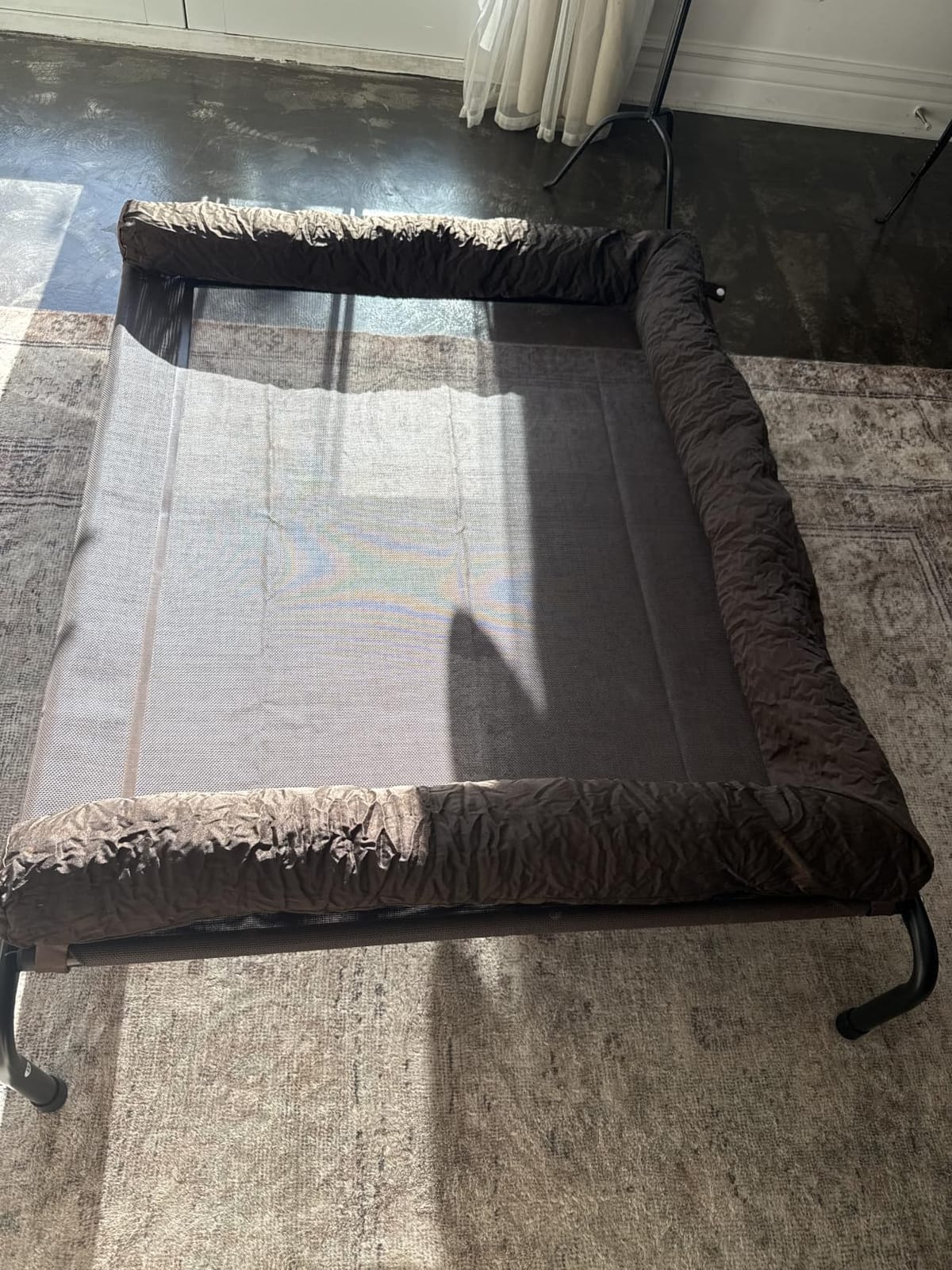 WESTERN HOME Cooling Elevated Dog Bed for Large Dogs,Outdoor Raised Dog Bed customer photo 2