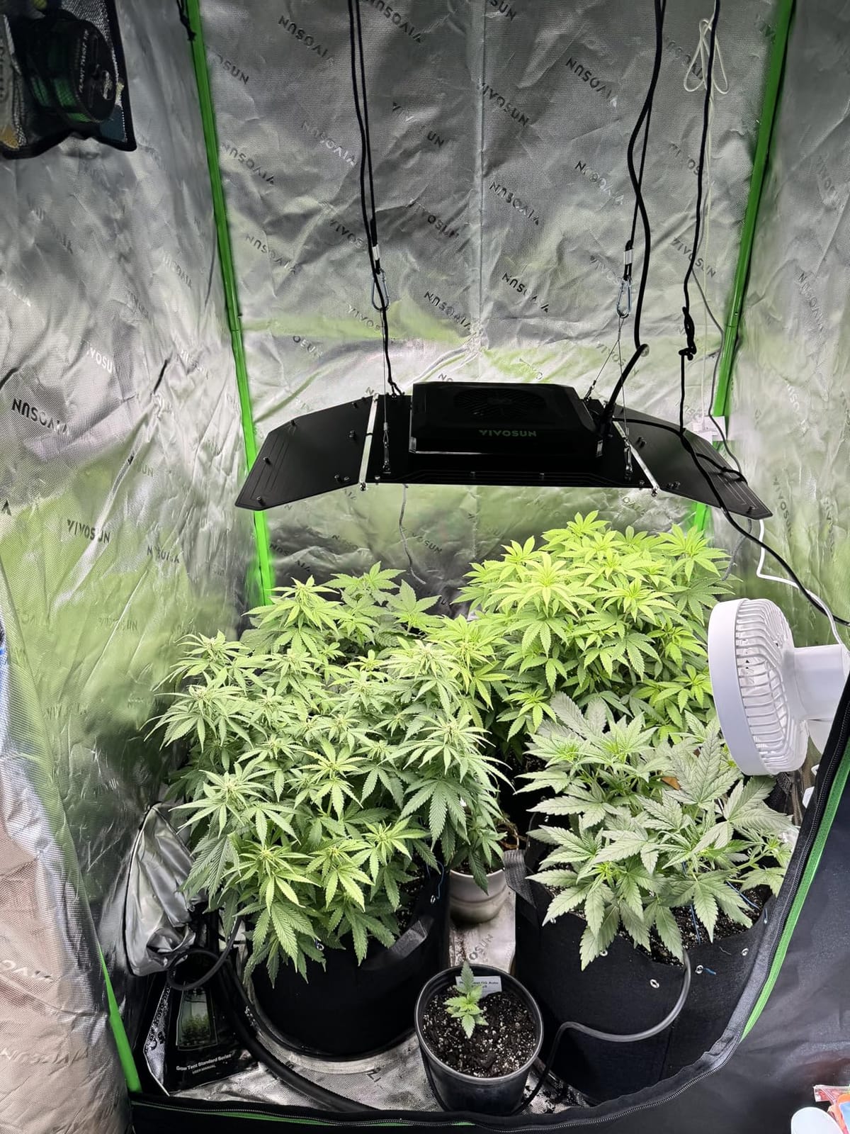 VIVOSUN Smart Grow Tent Kit 2x4, 2-Plant WiFi-Integrated Grow System customer photo 2