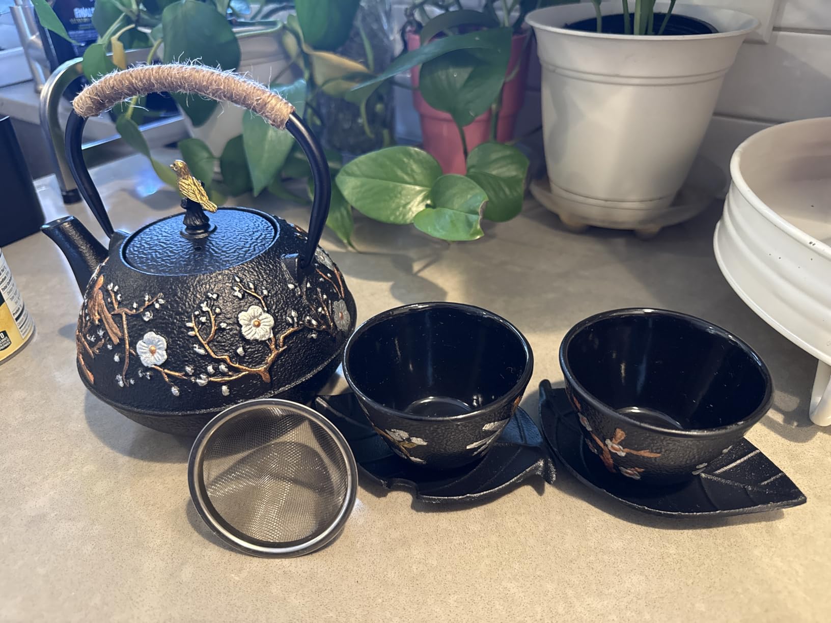 Dyna-Living Cast Iron Teapot with Warmer Japanese Tea Kettle 720ml/24.5oz Japanese Cast Iron Teapot Set with 2 Tea Cups Tea Pot with Infuser Tea Kettle for Wood Stove or Stovetop customer photo 2