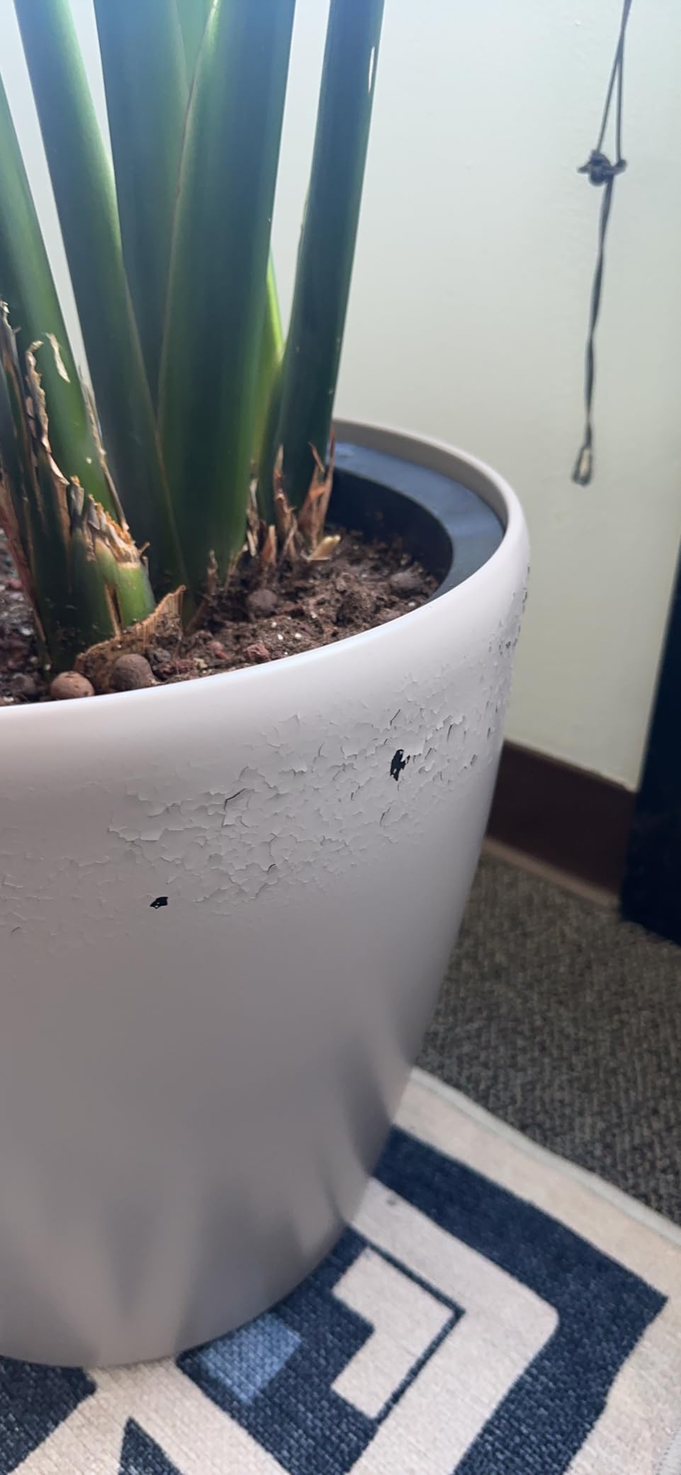 Dexceder 18x17 Self Watering Planter with Wheels (White Matte) customer photo 2