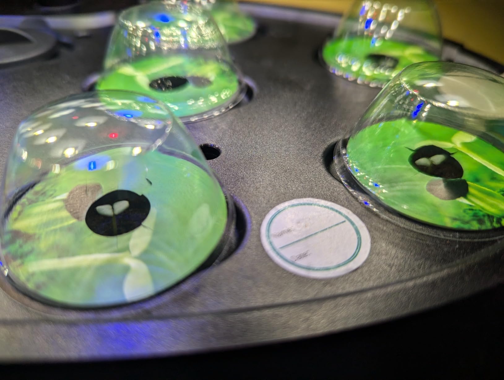Ahopegarden Hydroponics Growing System: 12 Pods Indoor Herb Garden with LED customer photo 2