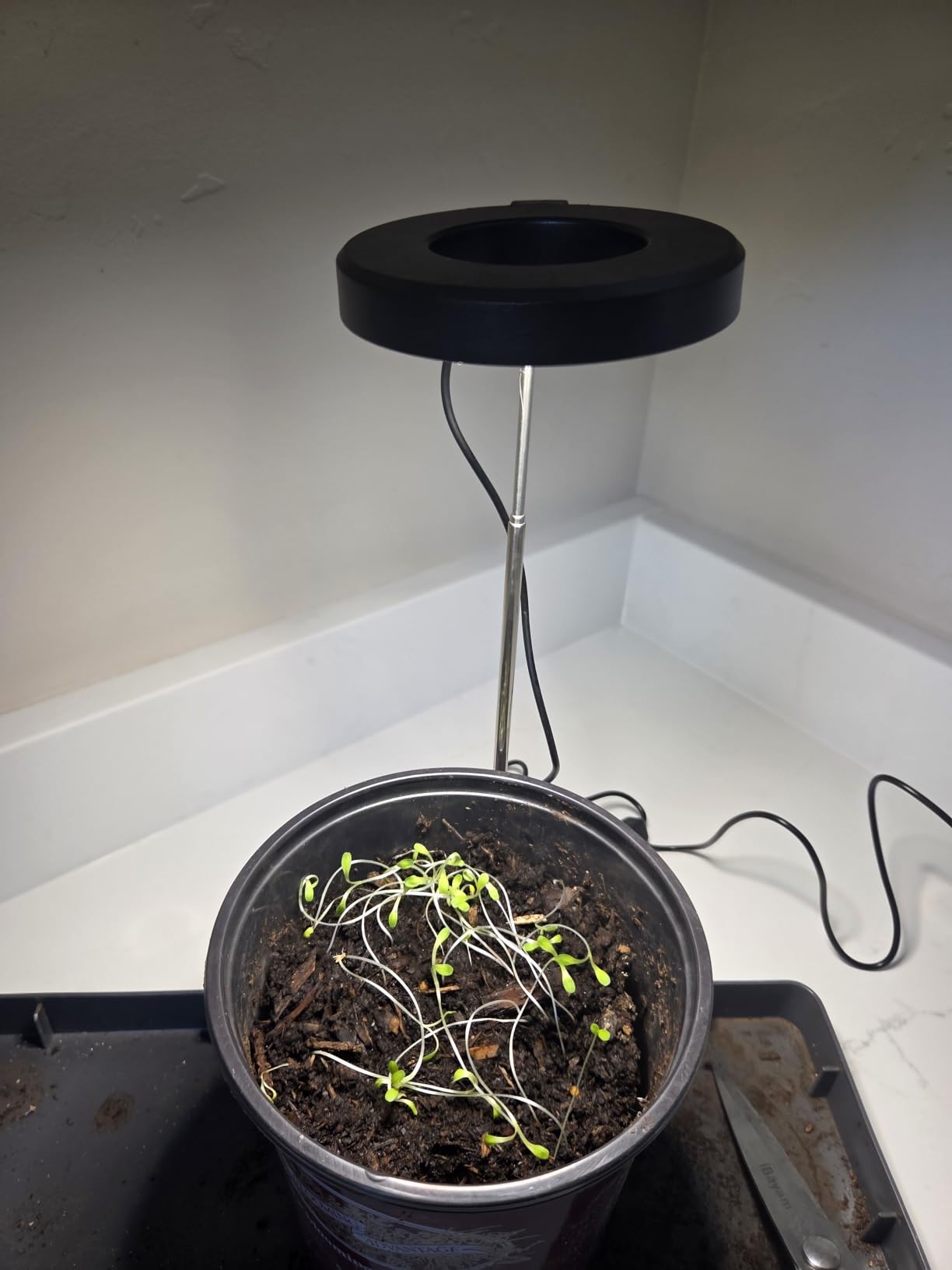 Aokrean Grow Lights for Indoor Plants, Full Spectrum Plant Light with Base customer photo 2