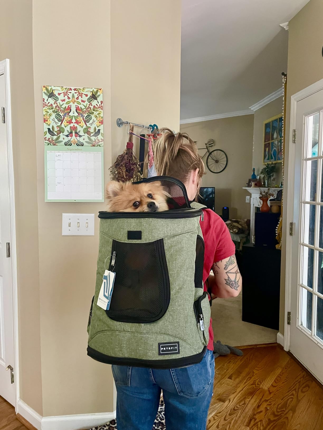 Petsfit Dog and Cat Backpack Carrier, Padded Waist Support, Up to 18 lb customer photo 2