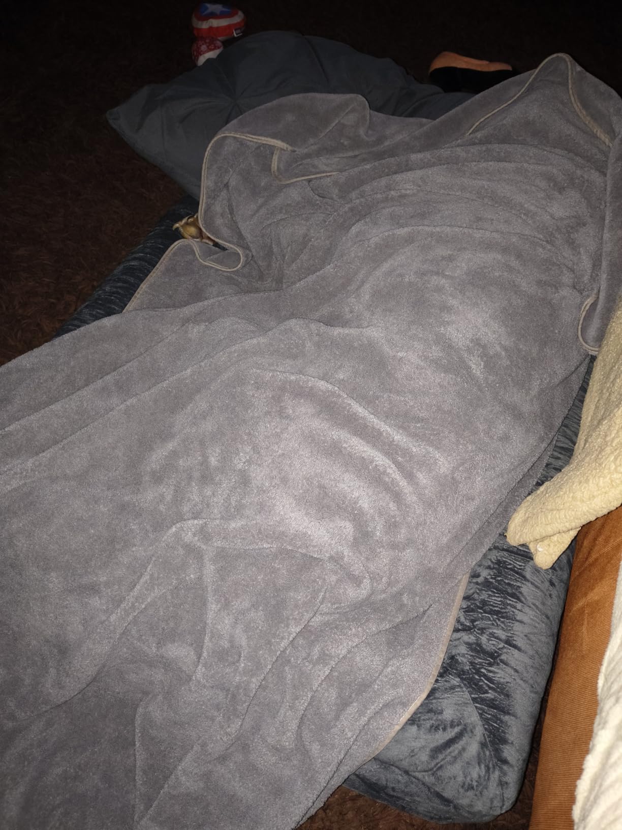 WNPETHOME XXXL Big Large Orthopedic for Senior Dog Bed Comfy Sleeping customer photo 1